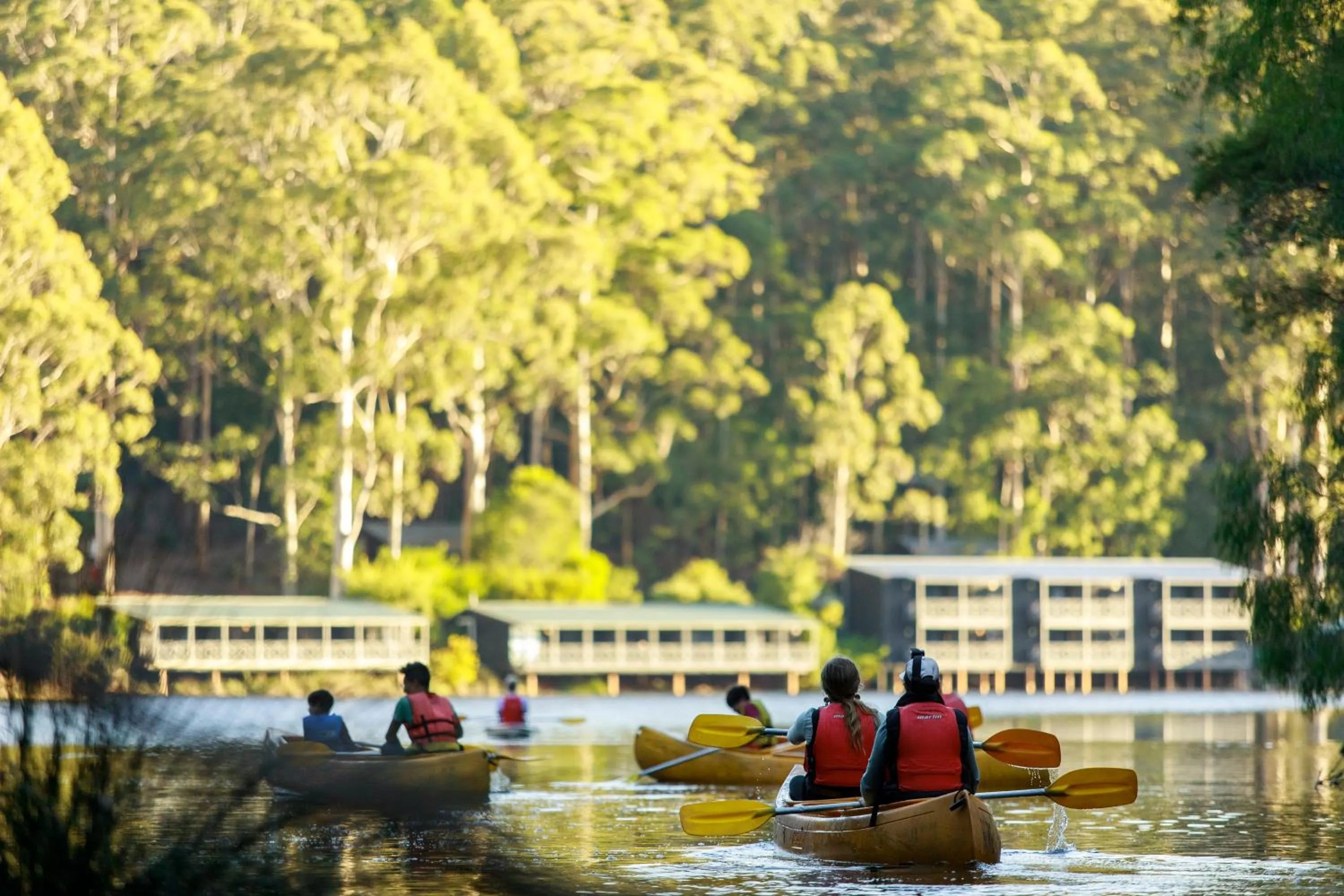 Activities in RAC Karri Valley Resort