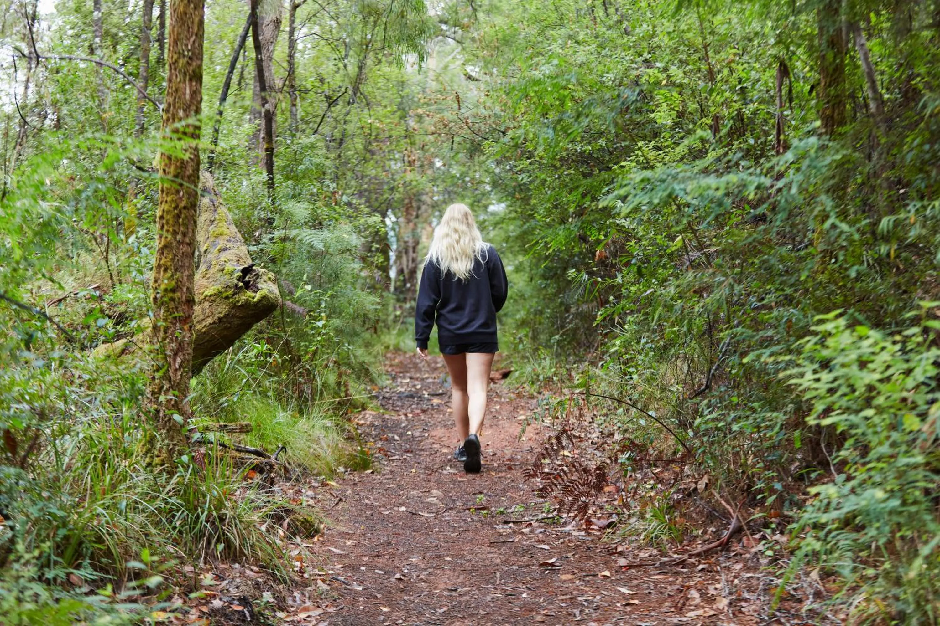 Natural landscape in RAC Karri Valley Resort