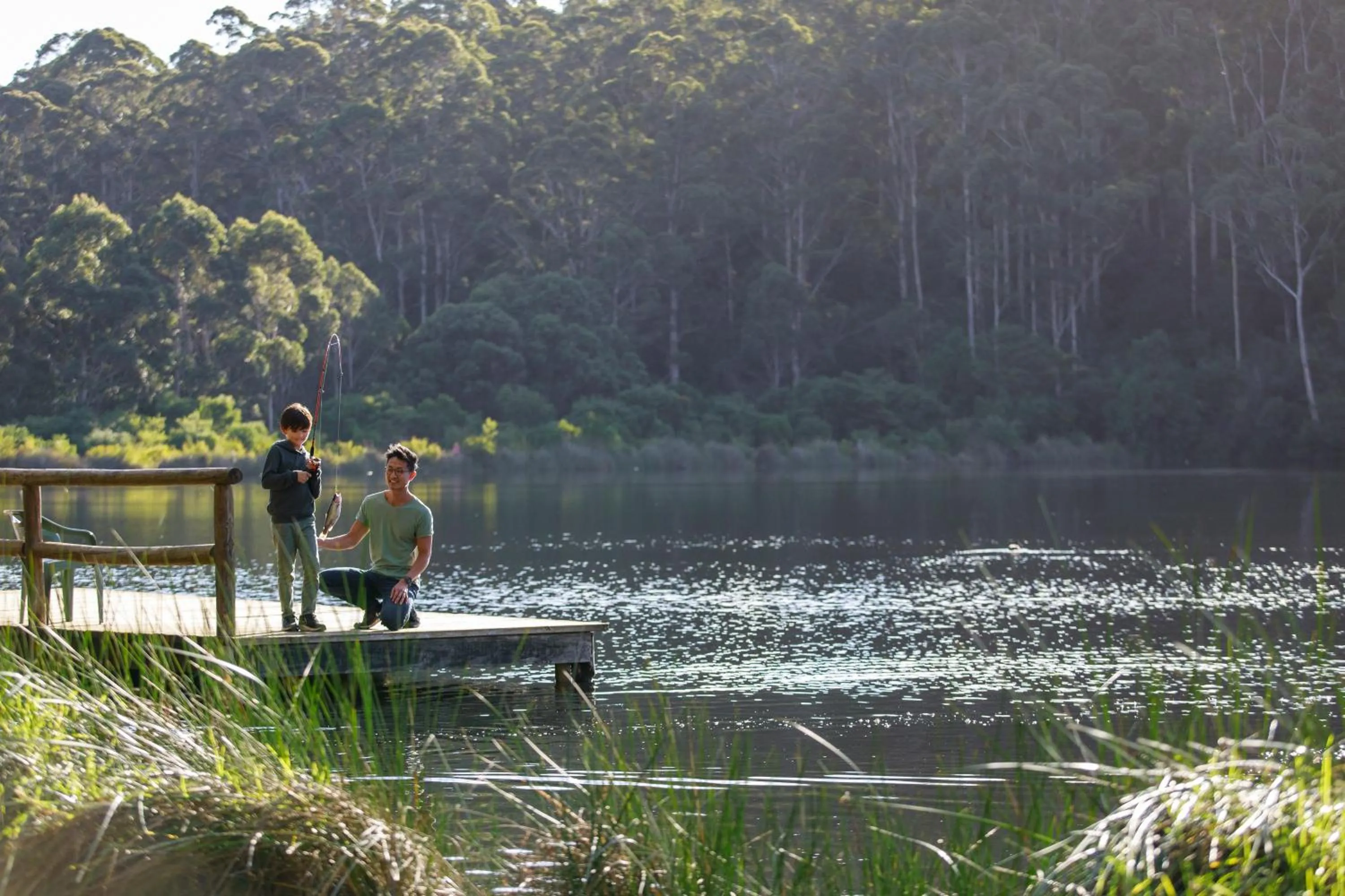 Lake view in RAC Karri Valley Resort