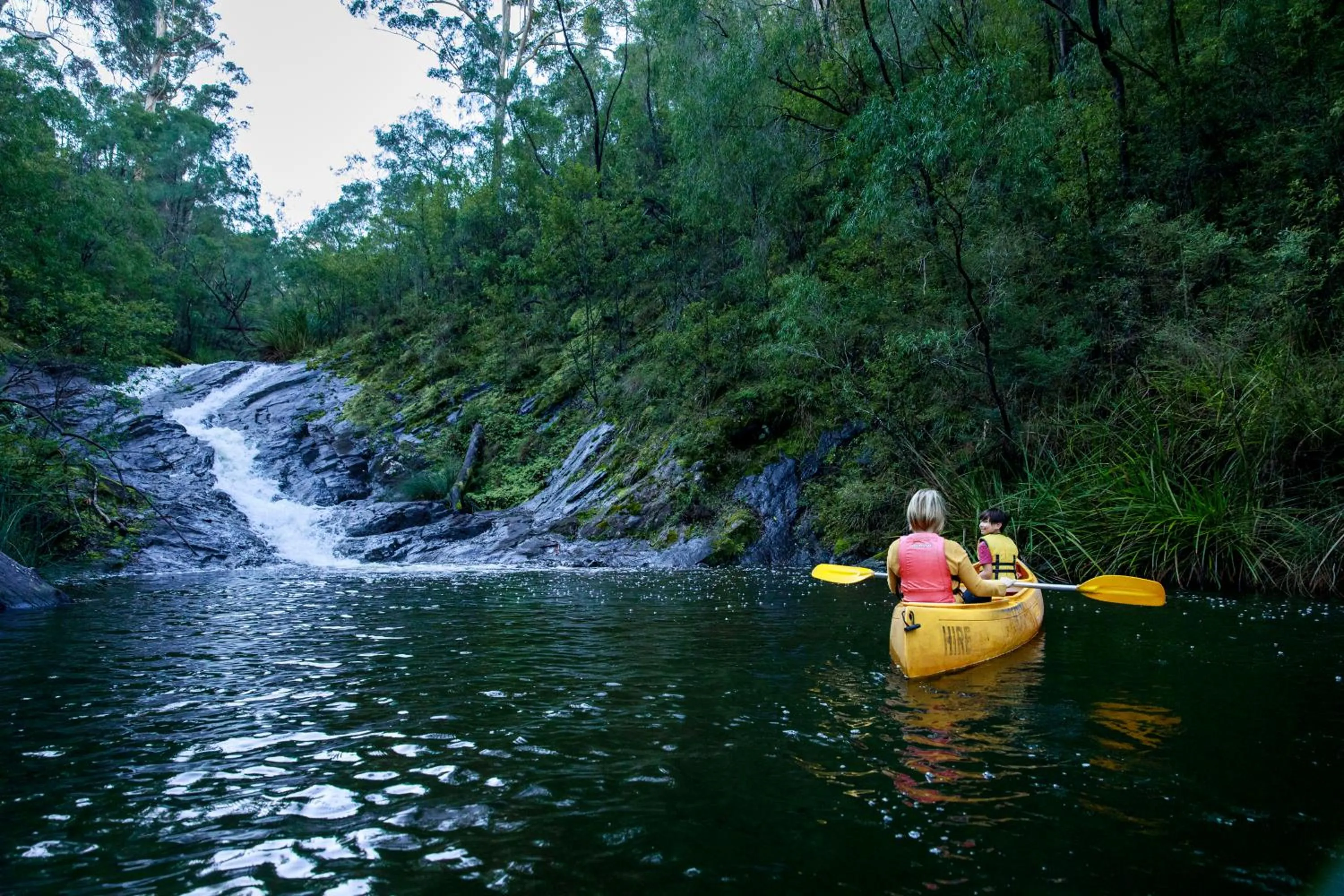 Lake view in RAC Karri Valley Resort