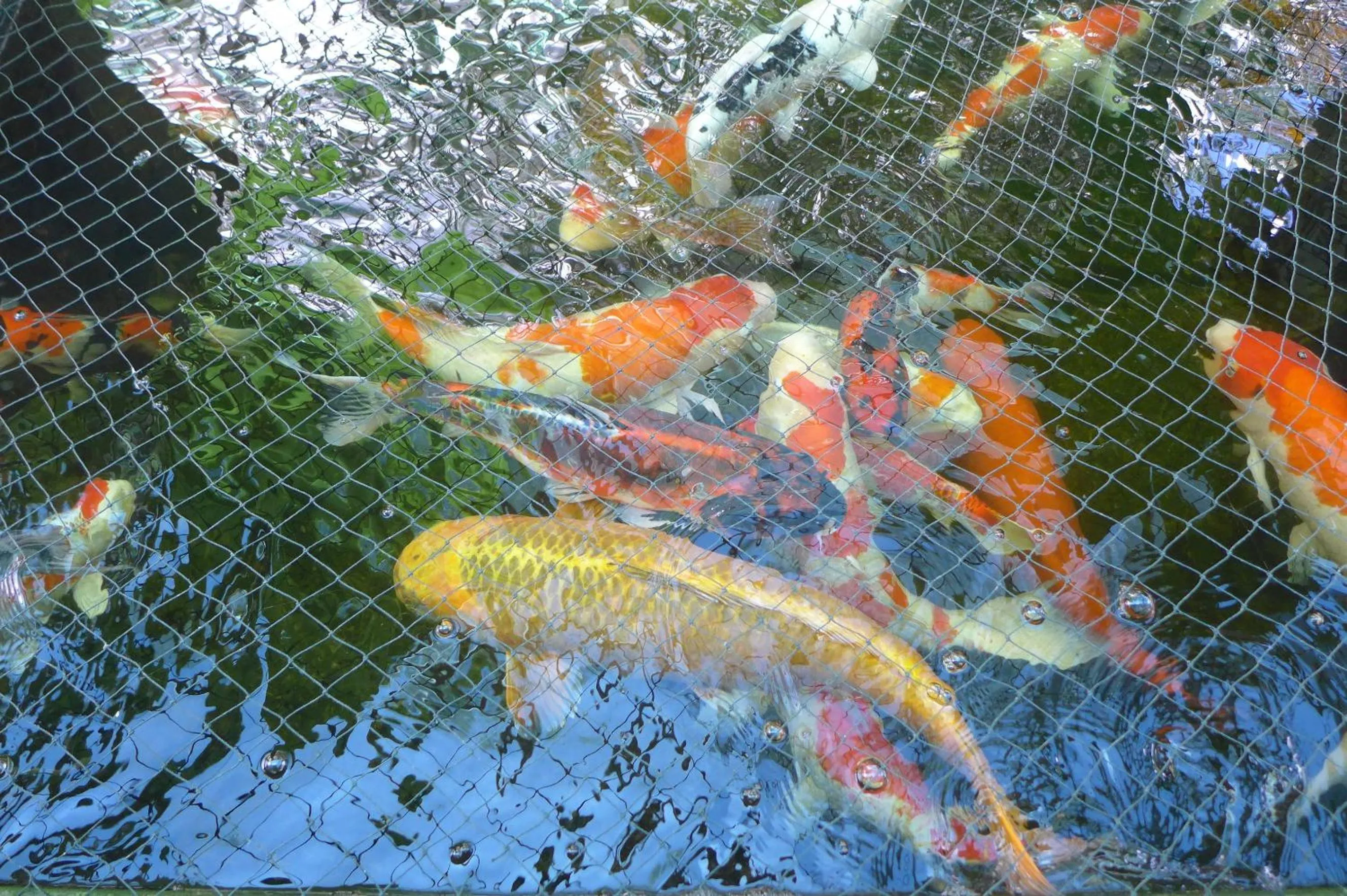 Natural landscape in Wesberly Apartments