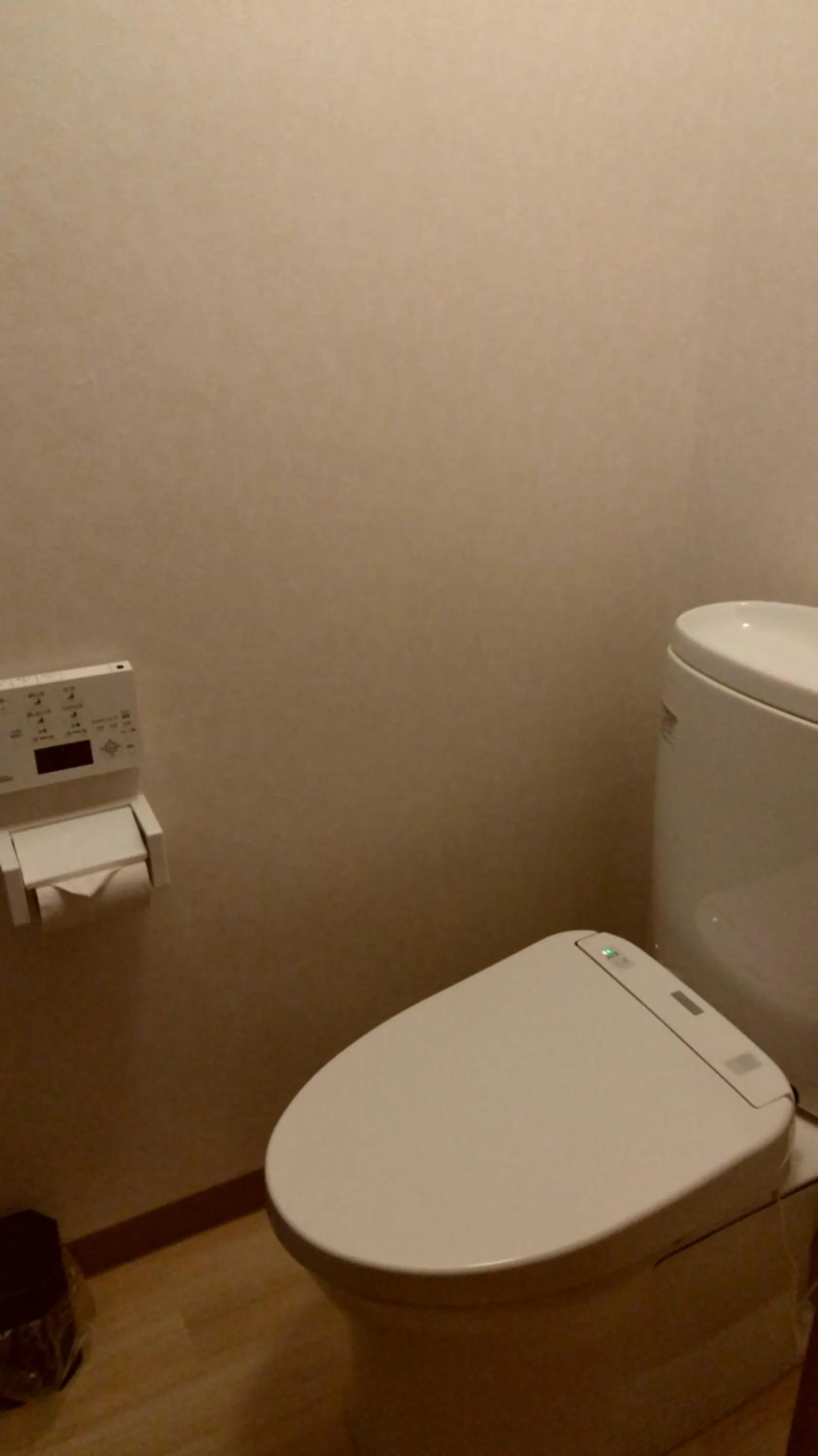 Photo of the whole room in Ueno First City Hotel