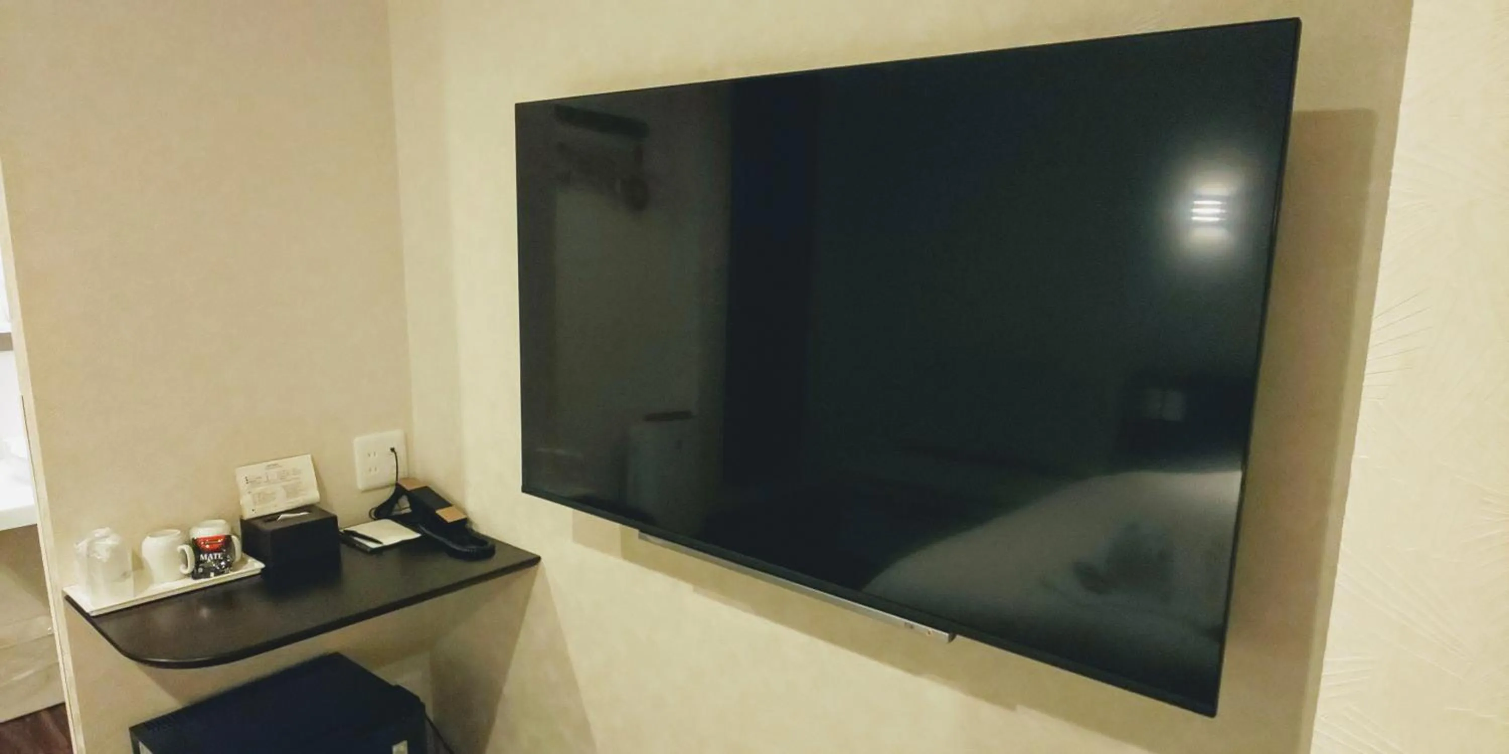 TV and multimedia in Ueno First City Hotel