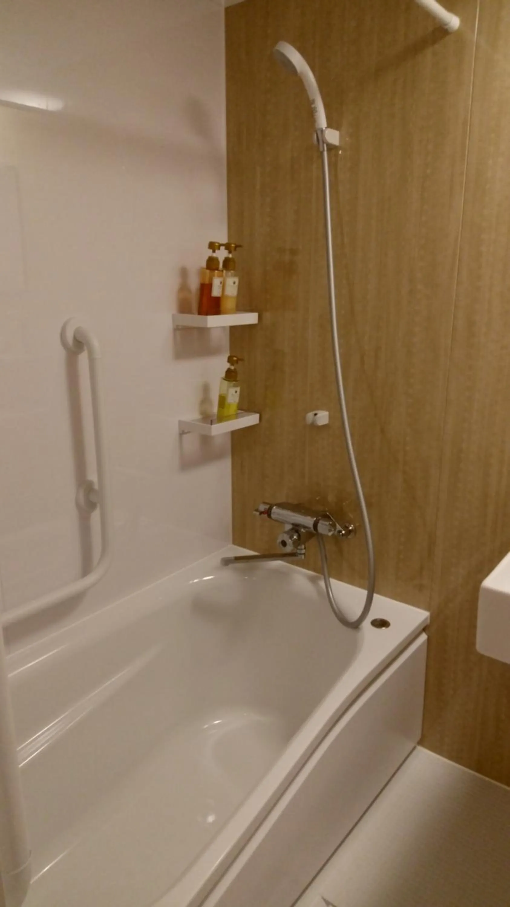 Bathroom in Ueno First City Hotel