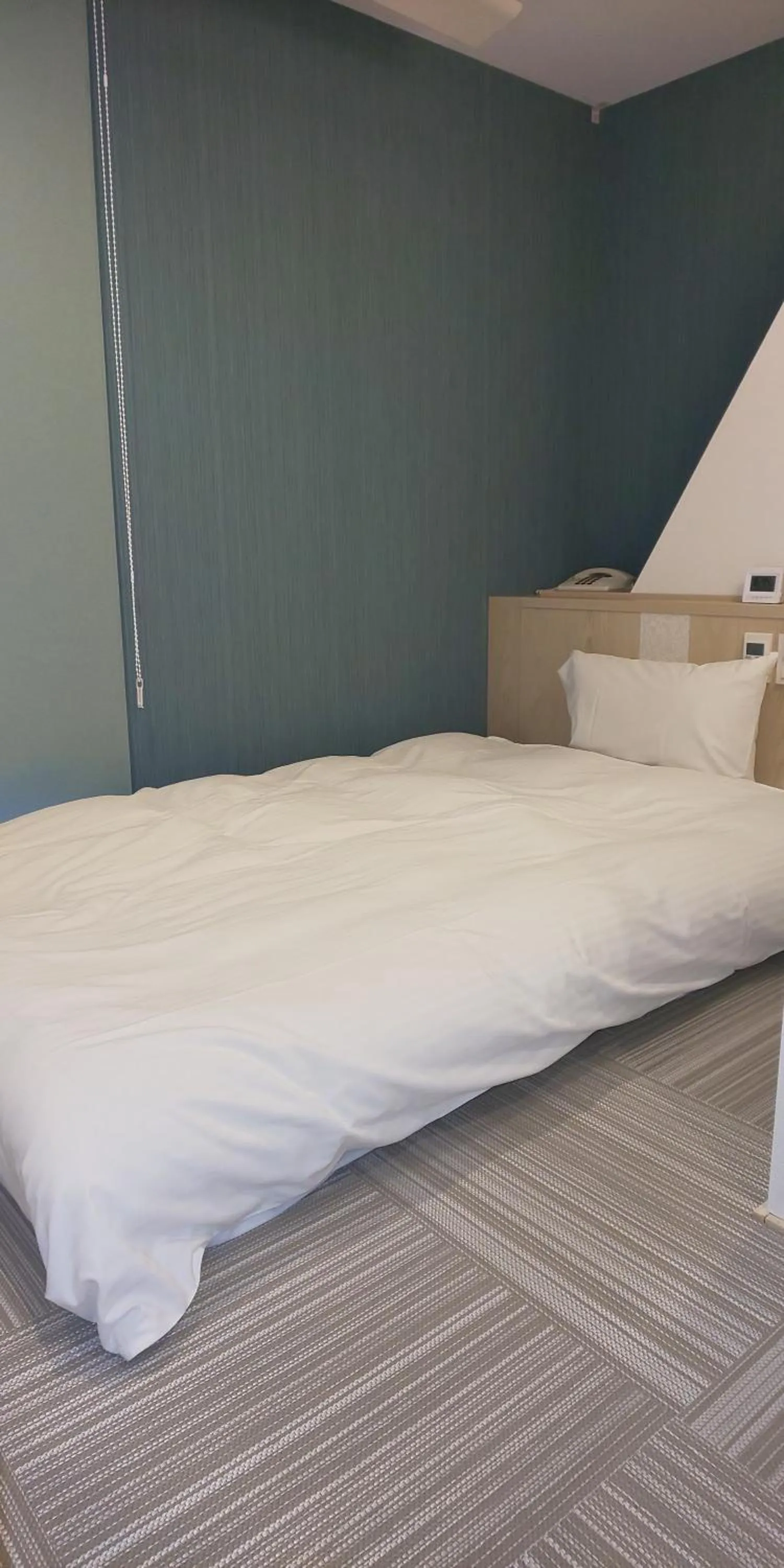 Photo of the whole room, Bed in Ueno First City Hotel