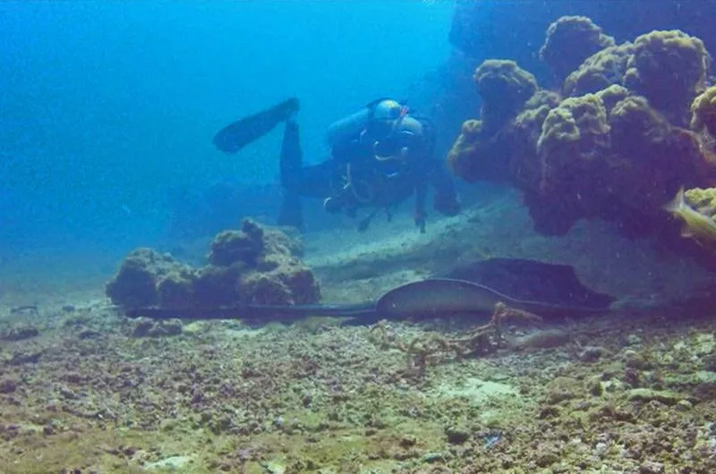 Diving in De Silva Palm Resort