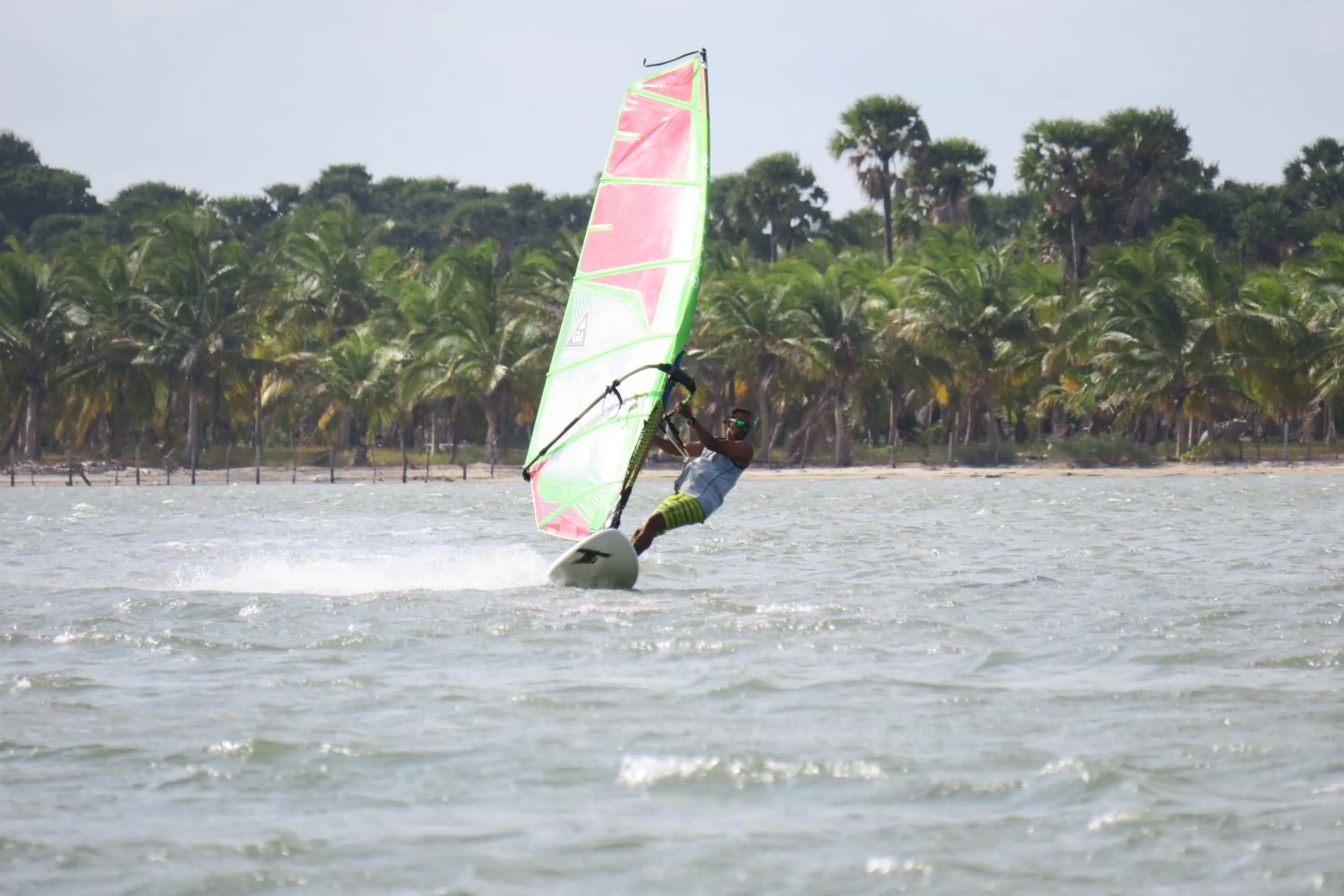 De Silva Palm Resort