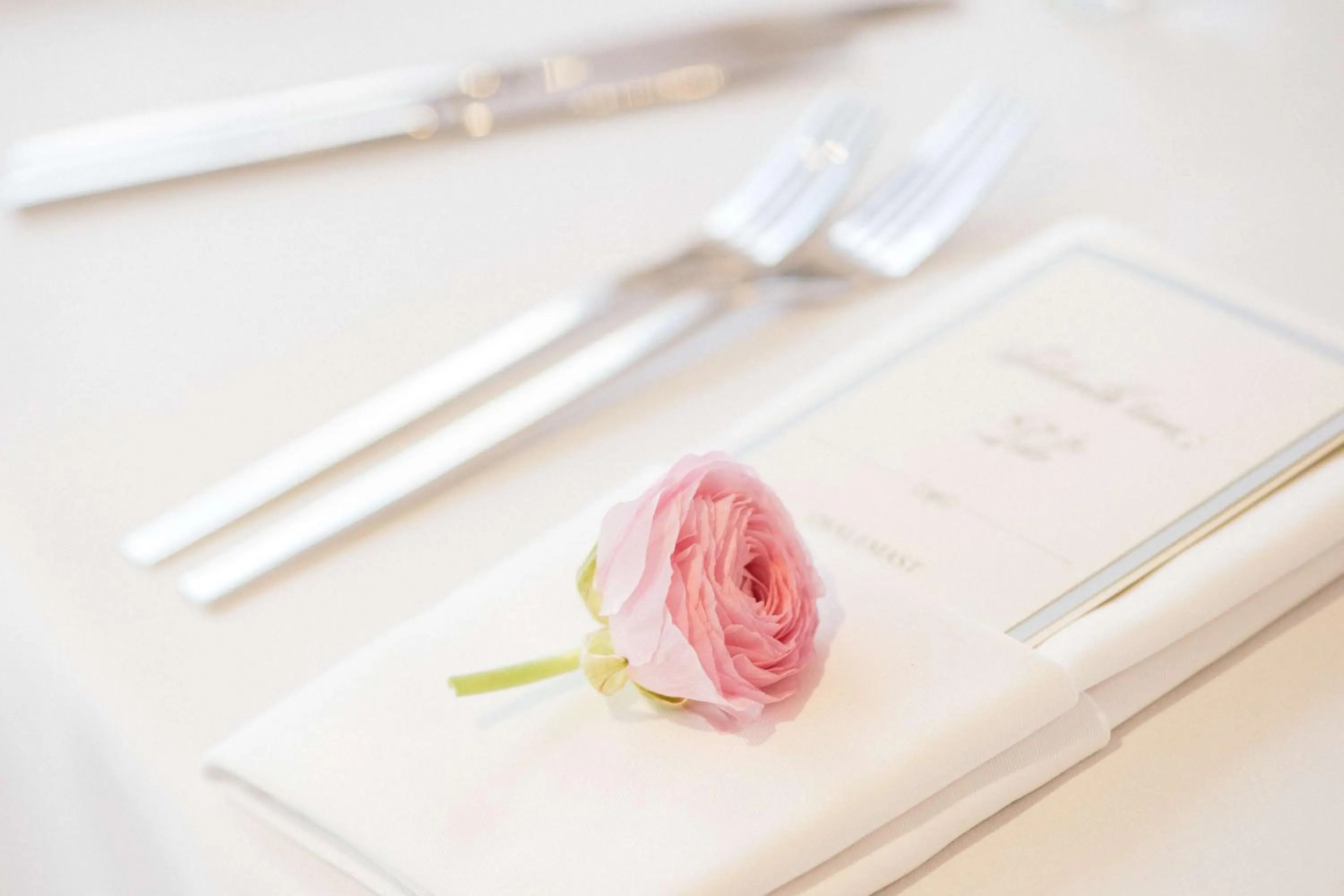 wedding in Park Inn Gurgaon