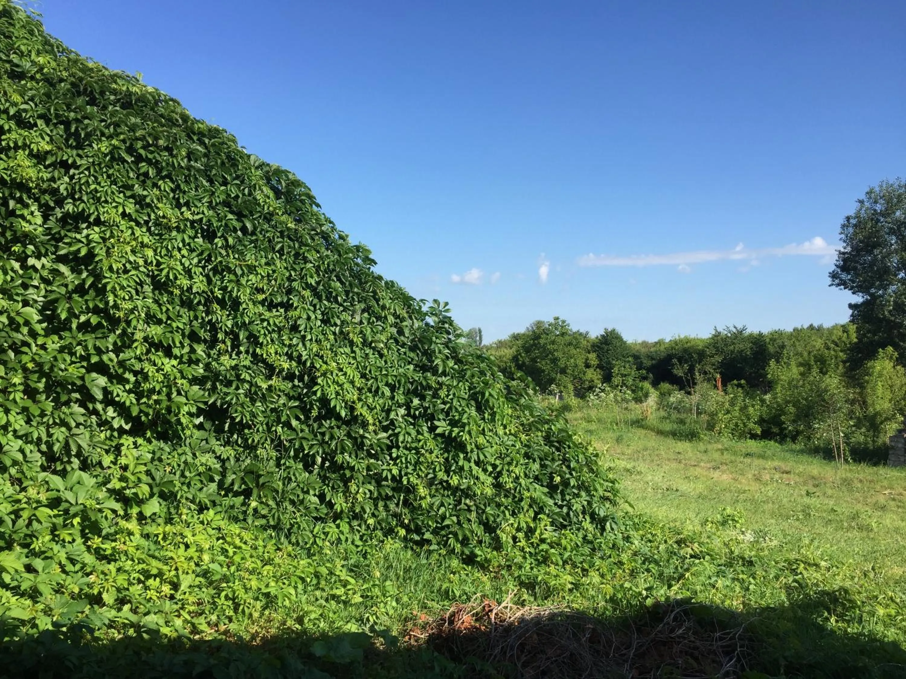 Natural landscape in Hotel Rafinad