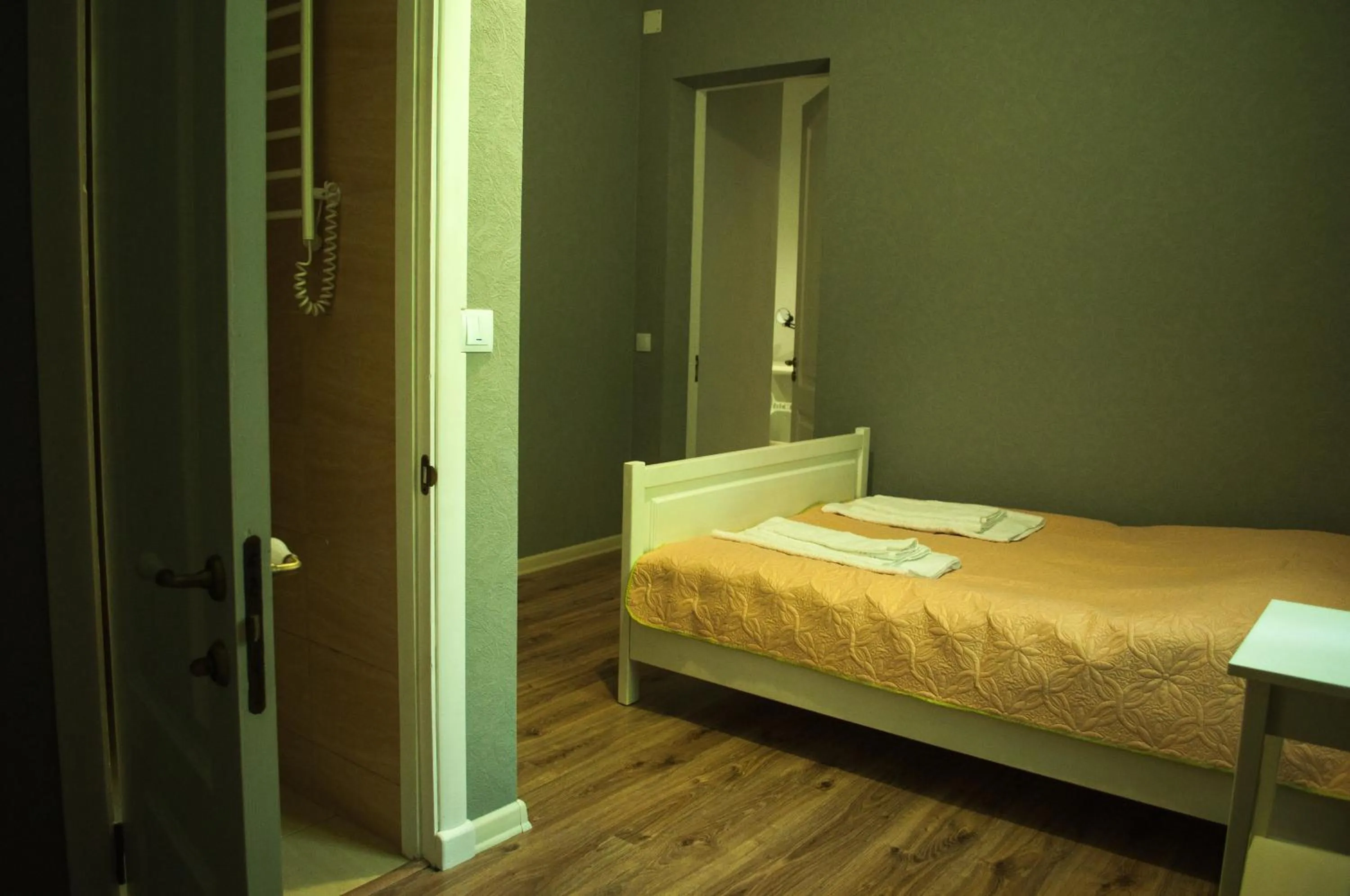 Shower, Bed in Hotel Rafinad