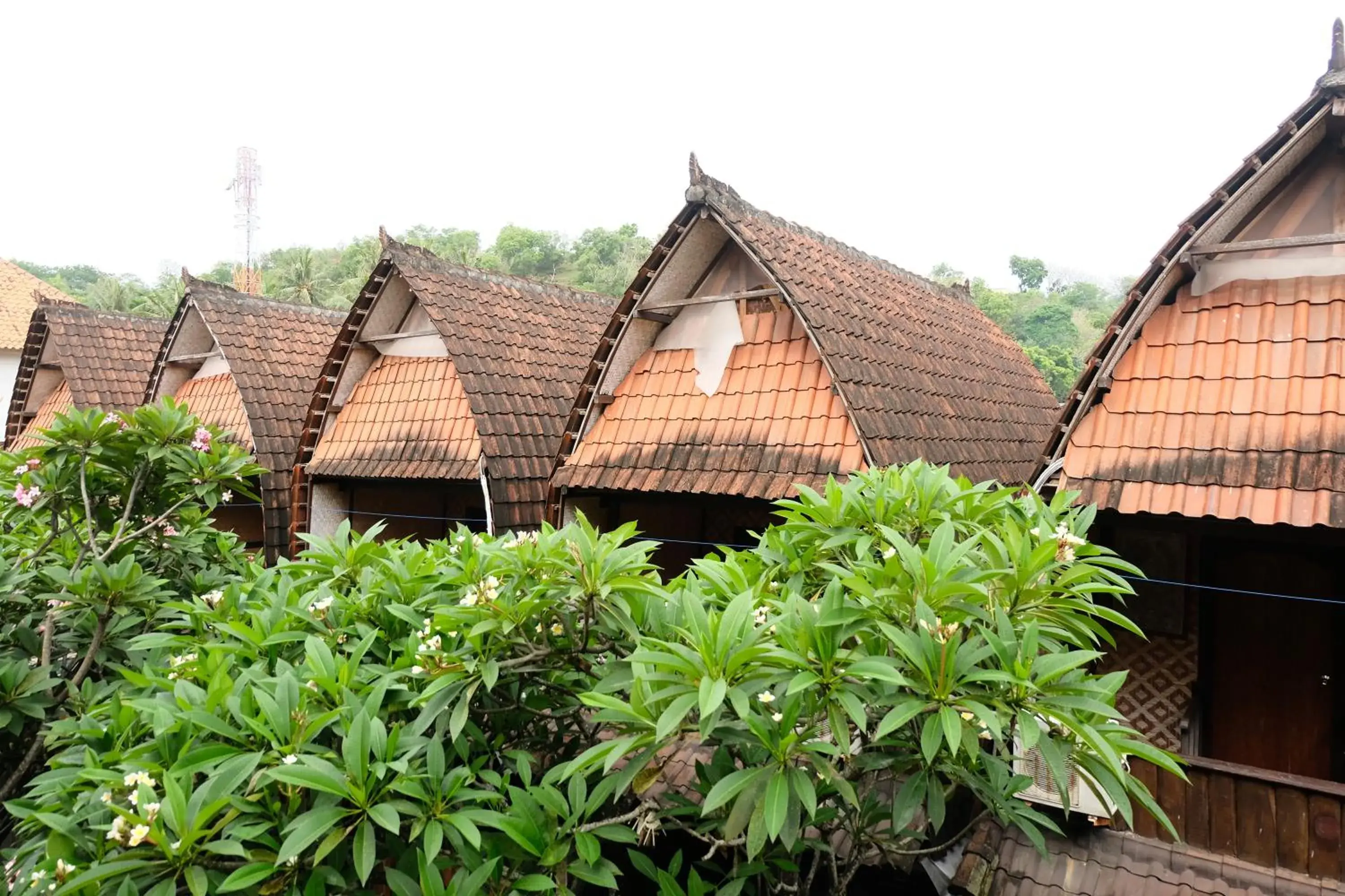 Deluxe Twin Bungalow in Kerti Beach Bungalow and Restaurant Deluxe Twin Bungalow in Kerti Beach Bungalow and Restaurant