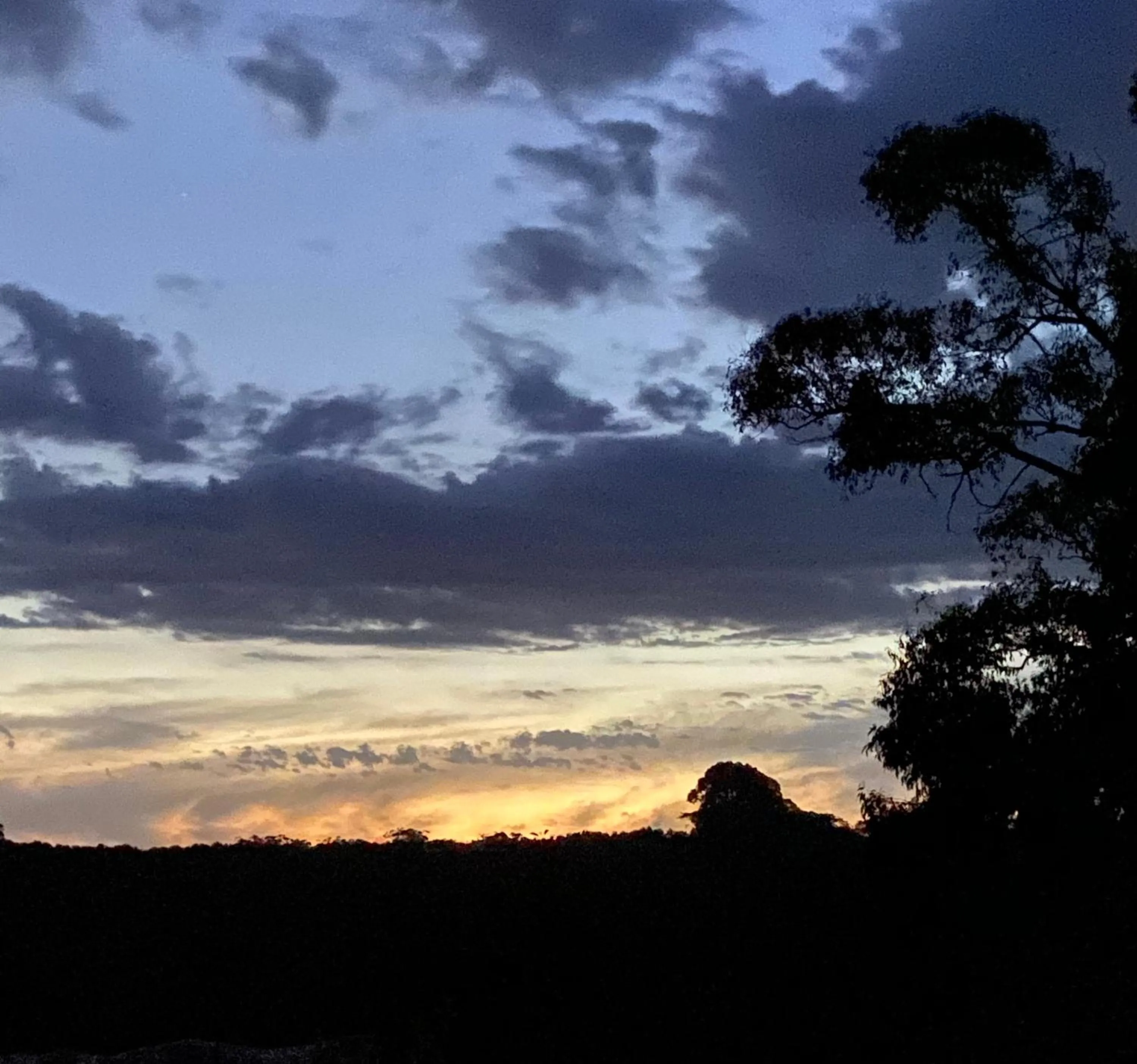 Natural landscape in Hart's Farm