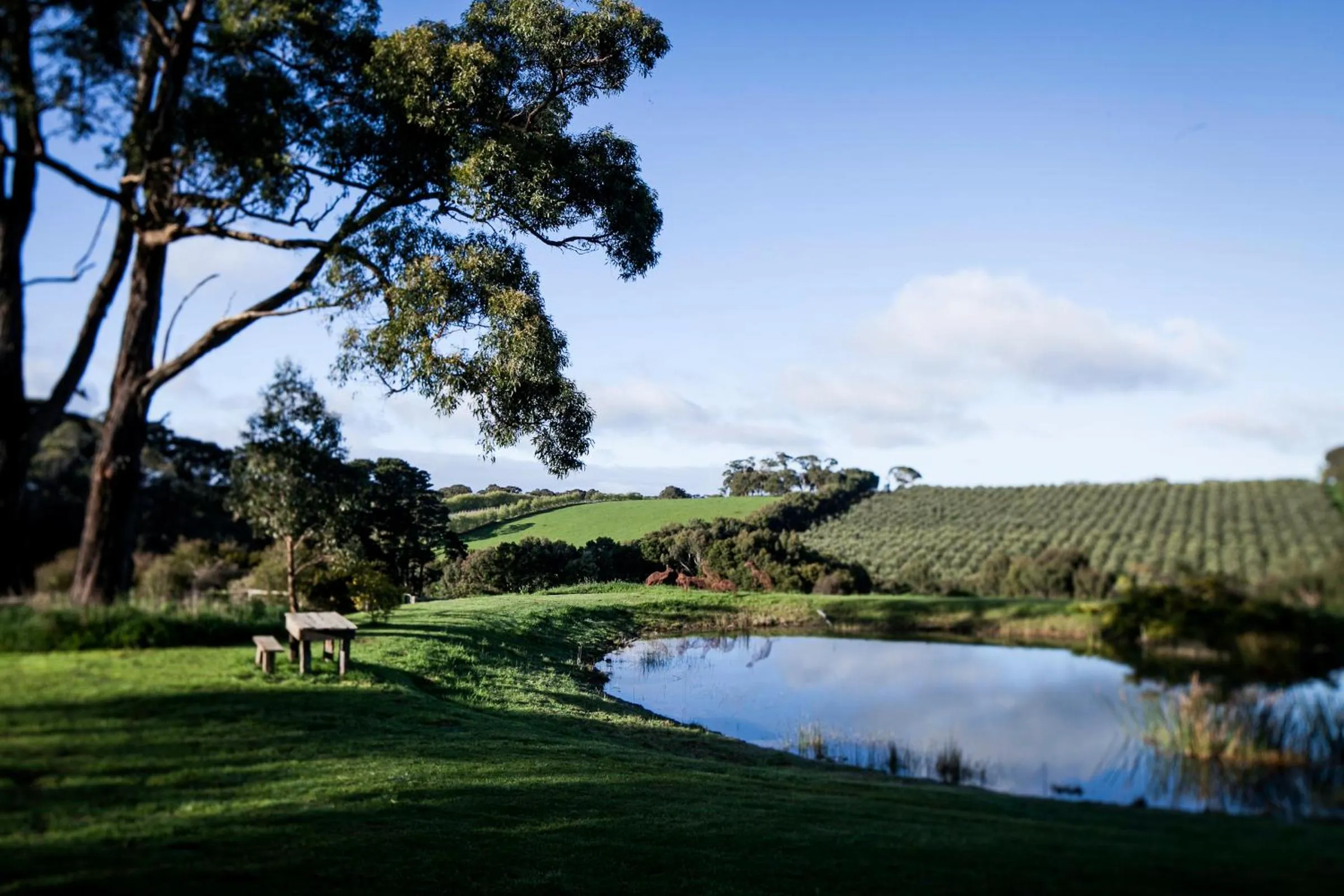 Natural landscape in Hart's Farm