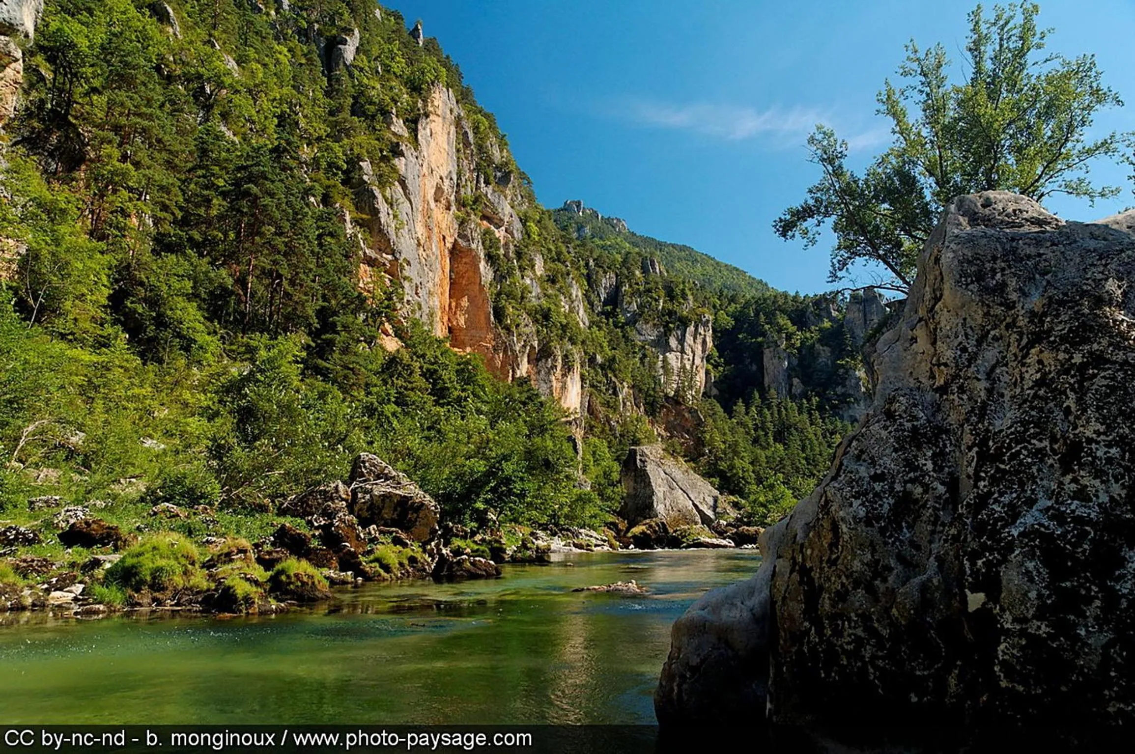 Area and facilities in Hôtel du Vigan