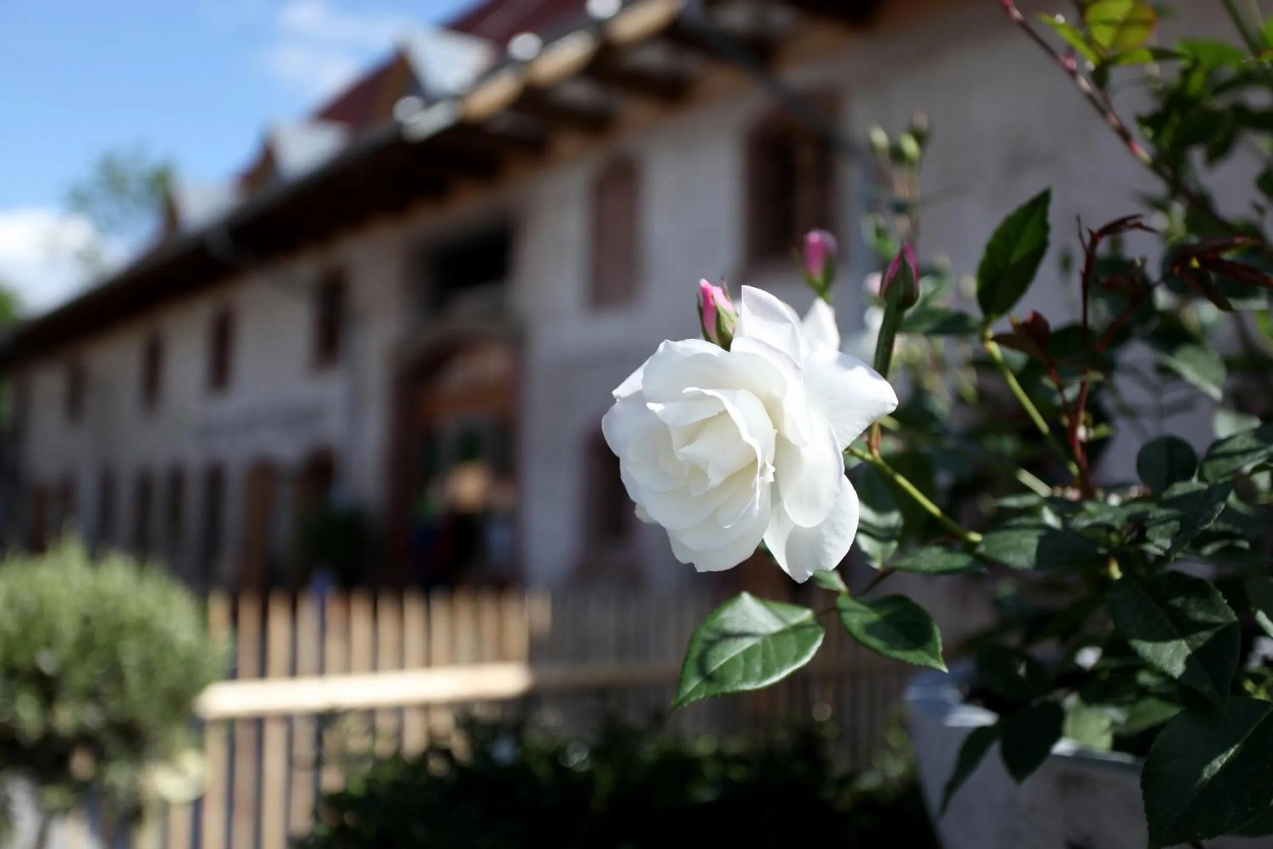 Facade/entrance in hotel rainhof scheune & naturpark restaurant (Kirchzarten)