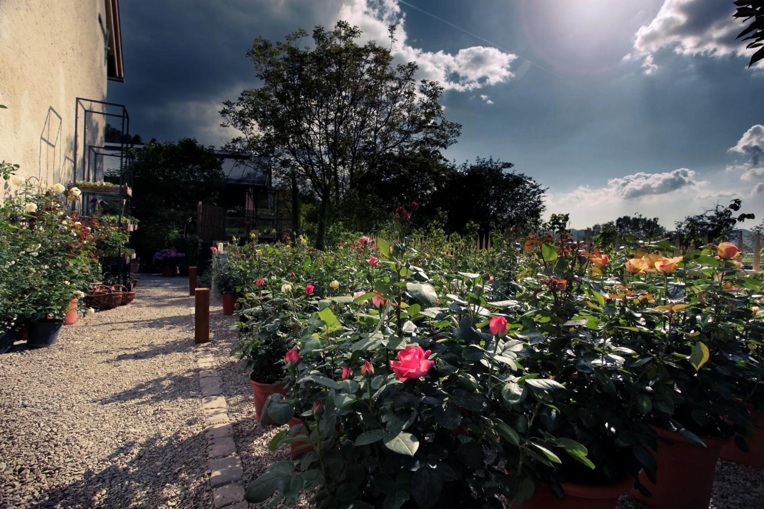 Facade/entrance in hotel rainhof scheune & naturpark restaurant (Kirchzarten)