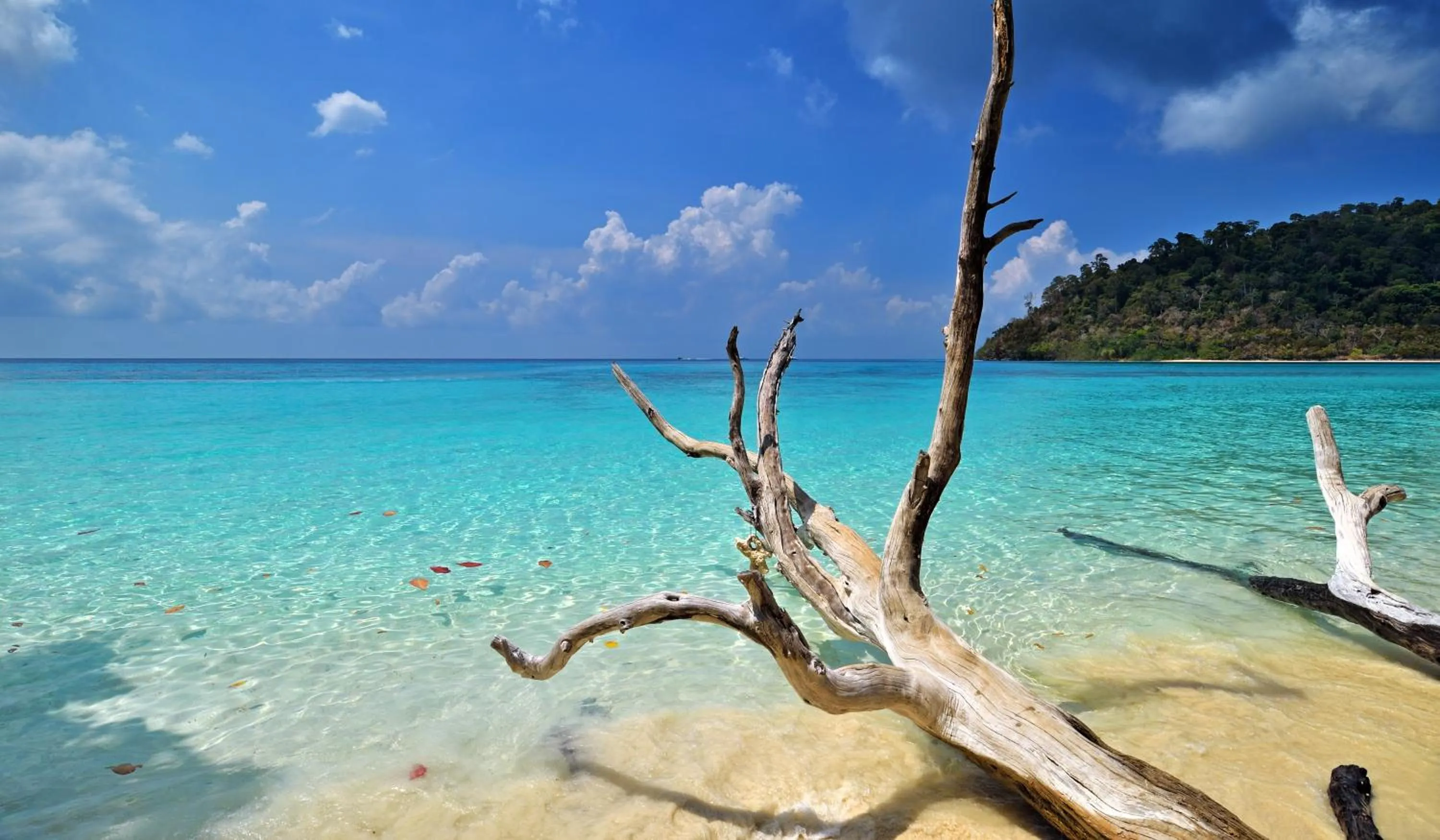 Krabi Home Town Boutique