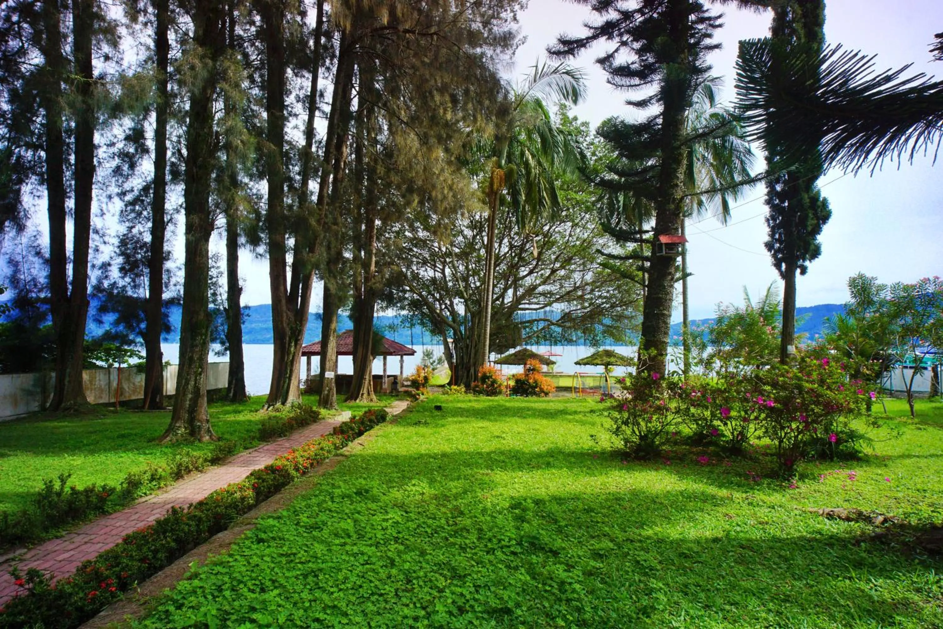Natural landscape in Hotel Pandu Lakeside Tuktuk