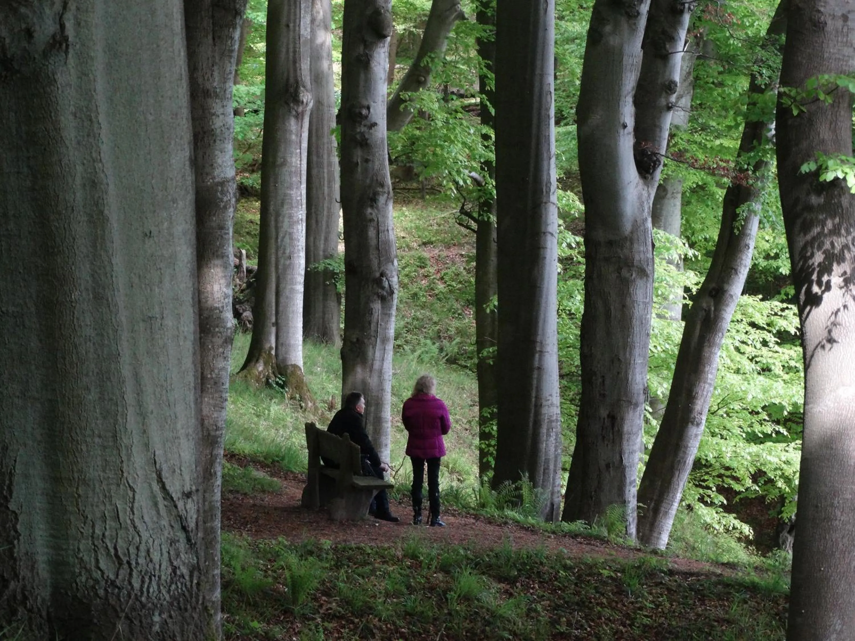 Nearby landmark in Panorama Hotel Lohme