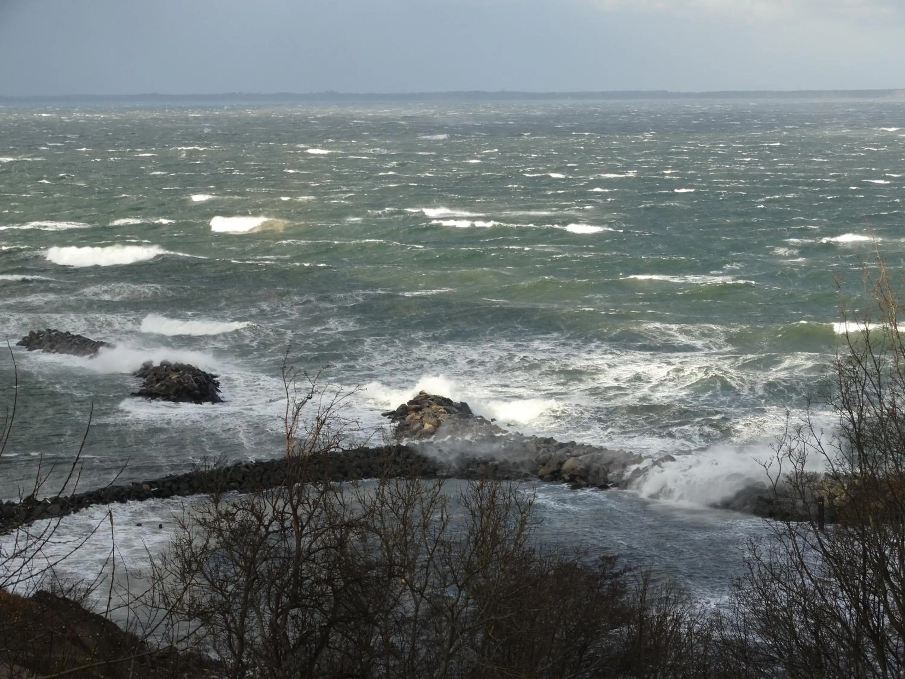 Natural landscape in Panorama Hotel Lohme