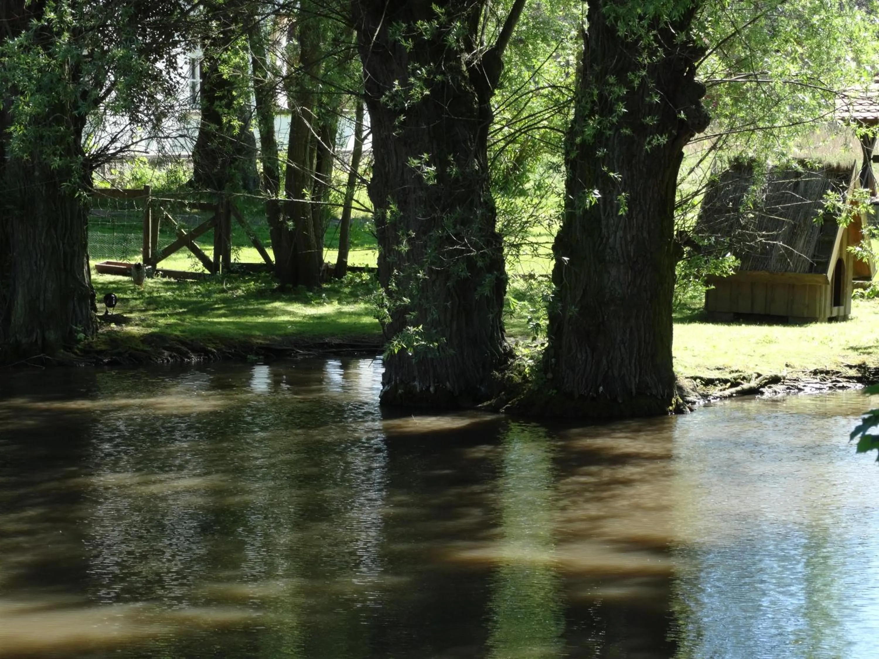 Natural landscape in Panorama Hotel Lohme