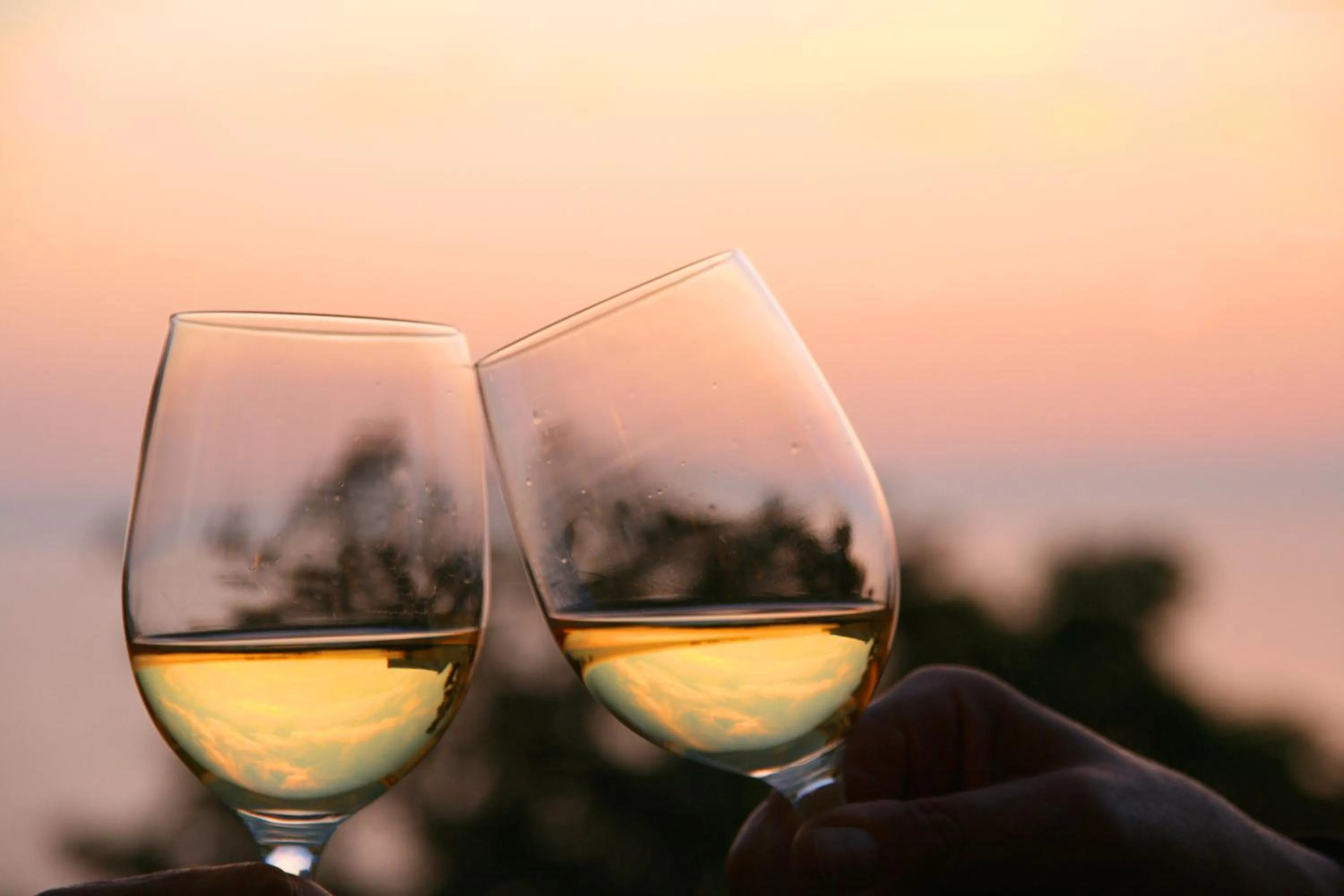 Restaurant/places to eat in Panorama Hotel Lohme