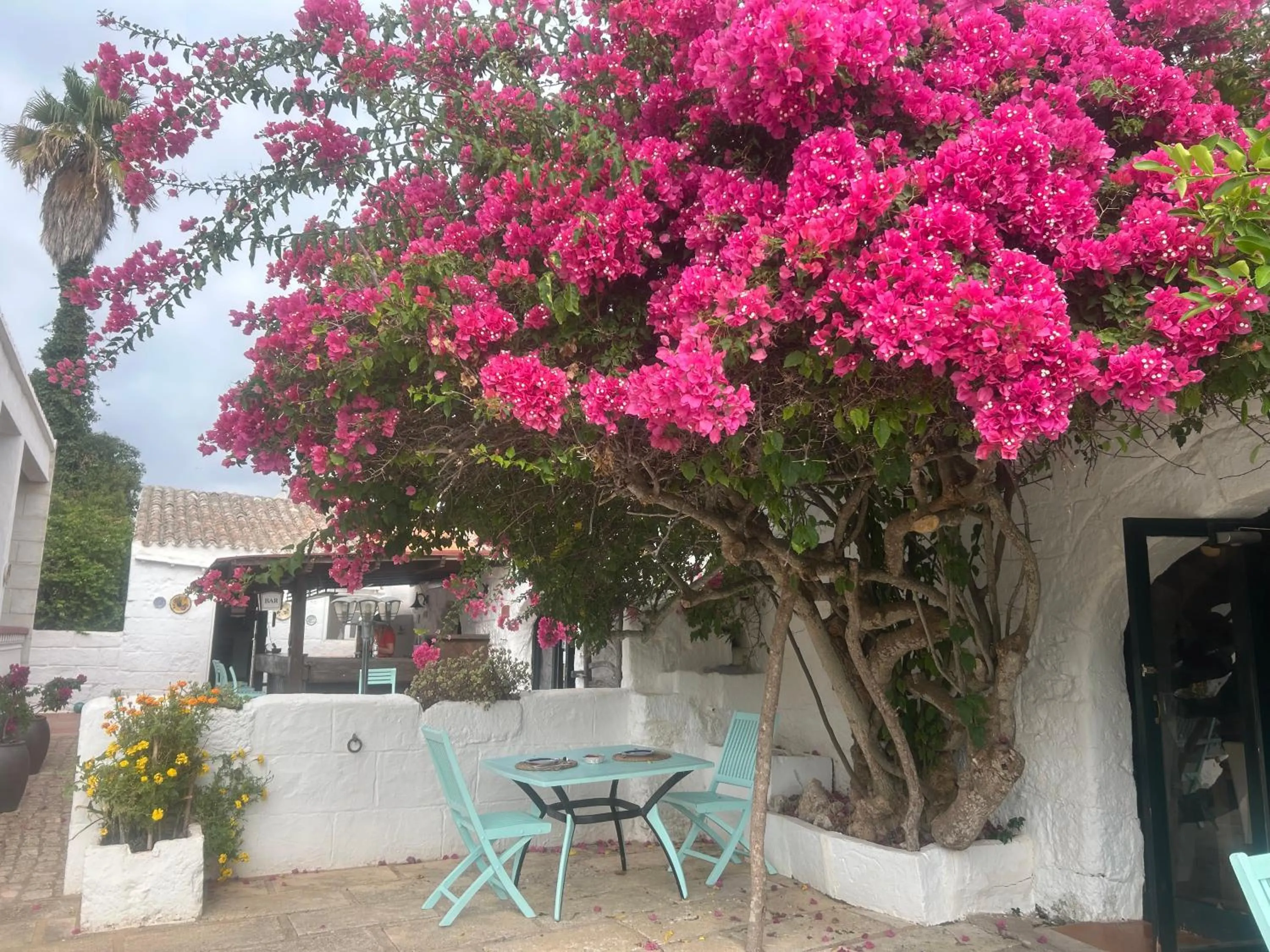 Patio in Agroturismo Matxani Gran