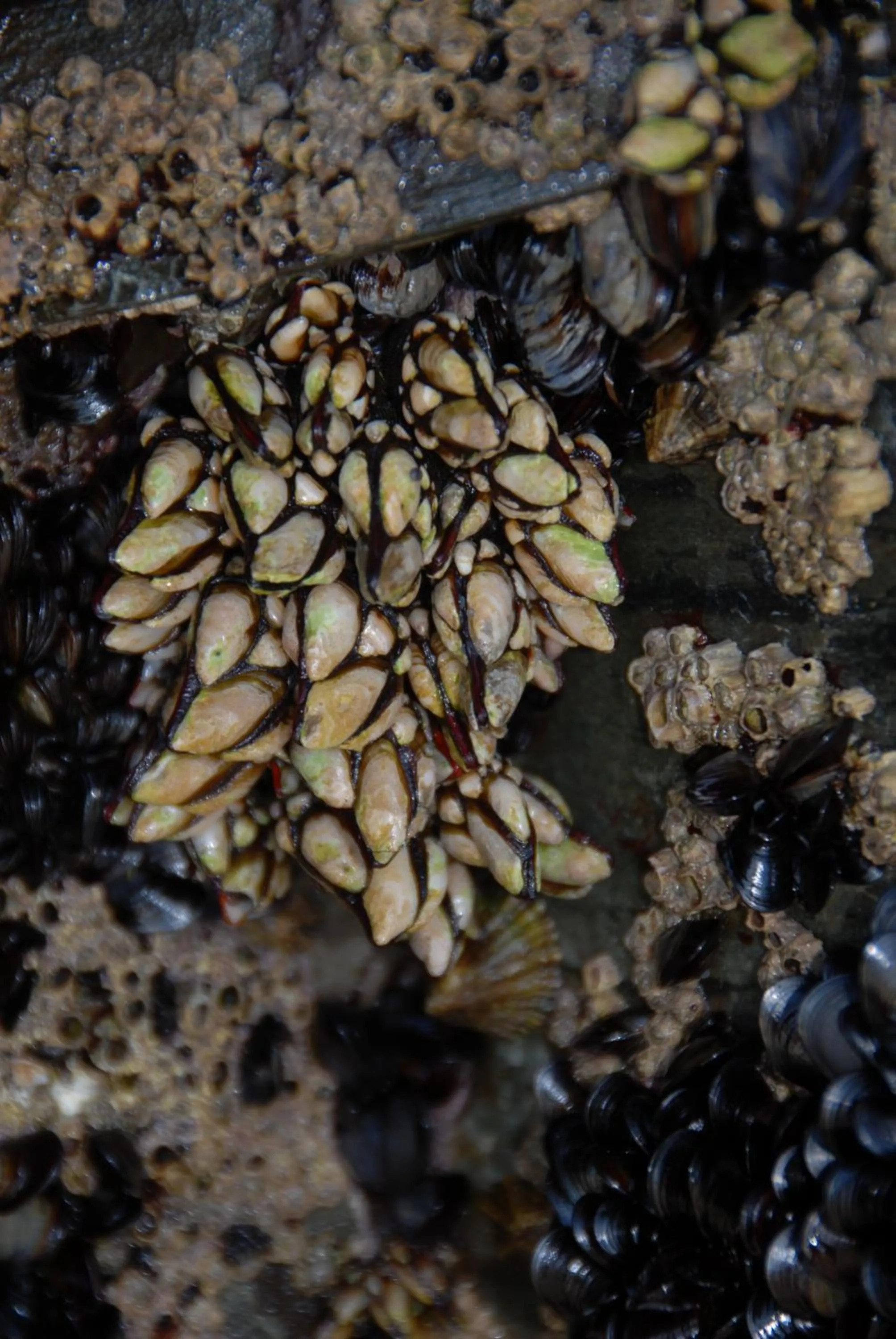 Nearby landmark in Hotel Playa de las Catedrales