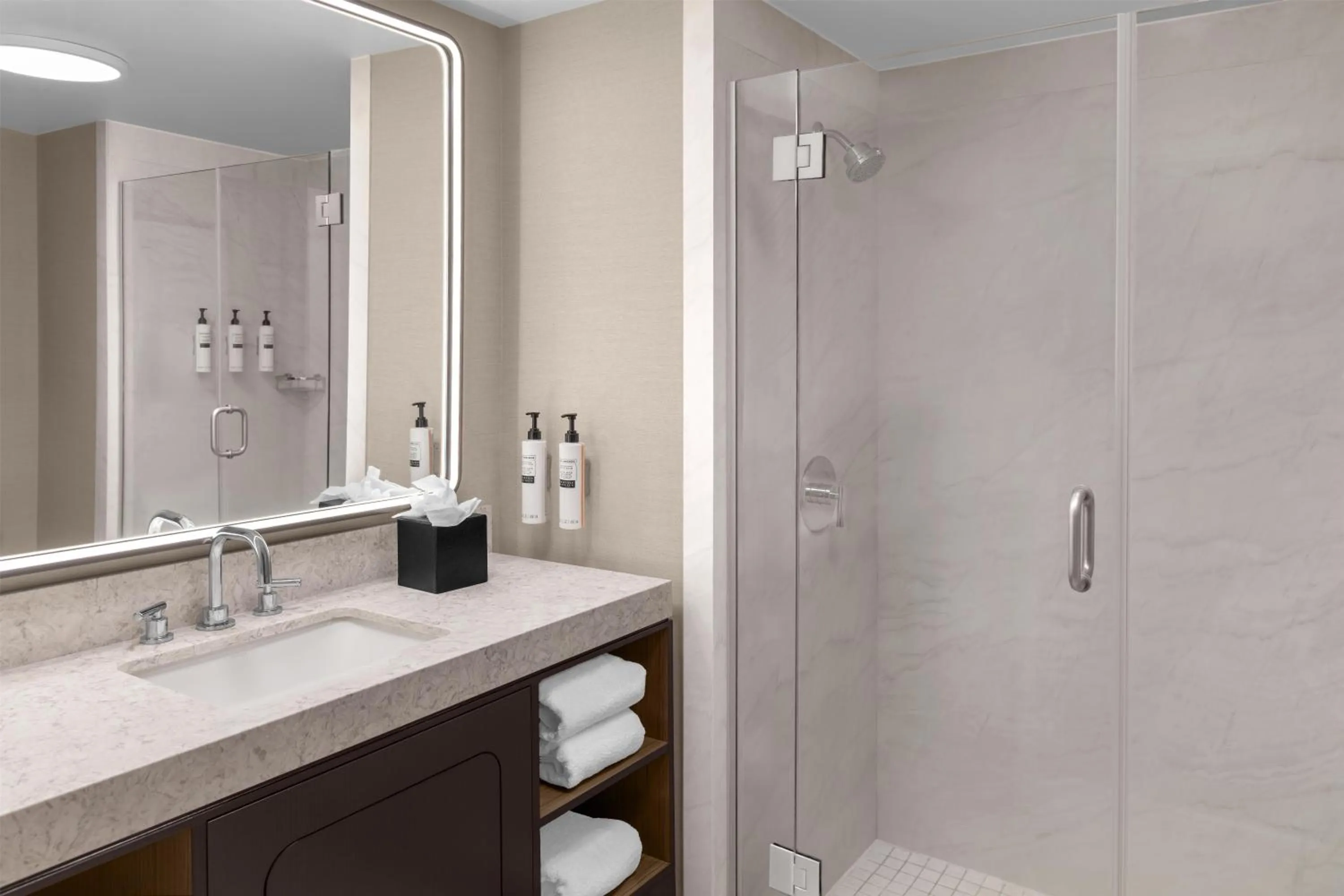 Bathroom in Embassy Suites San Antonio Riverwalk-Downtown