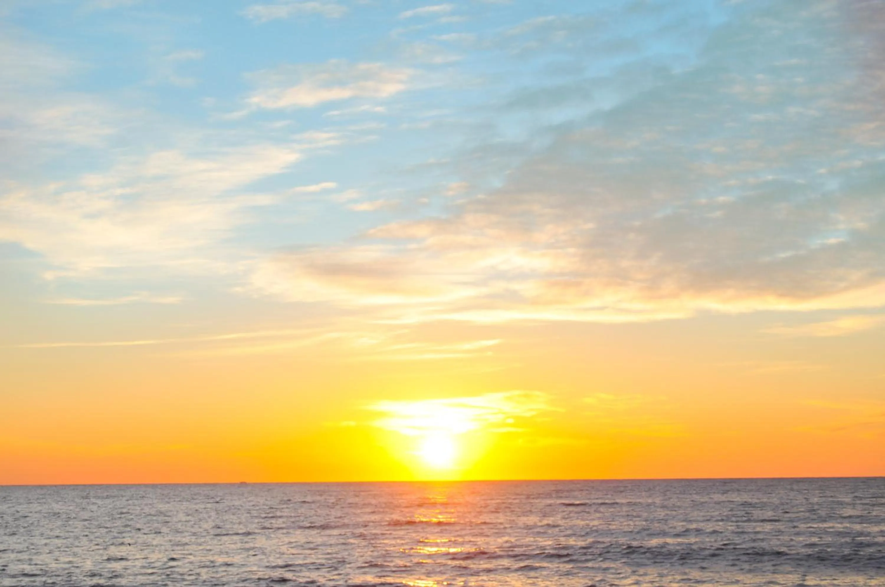 Natural landscape in SeaLoft Oceanfront Hotel