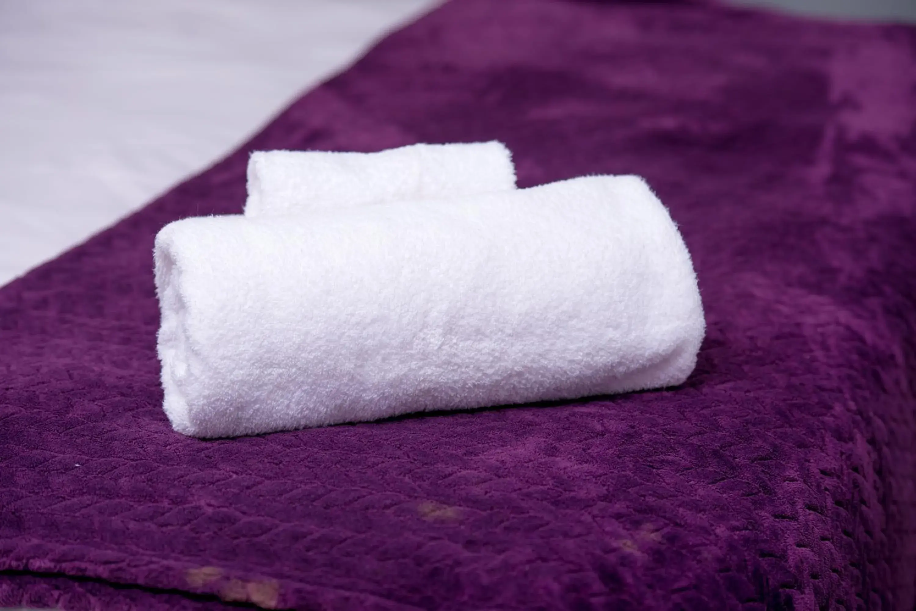 Deluxe Studio - single occupancy in Mt Pleasant Bed and Breakfast Ltd Deluxe Studio - single occupancy in Mt Pleasant Bed and Breakfast Ltd