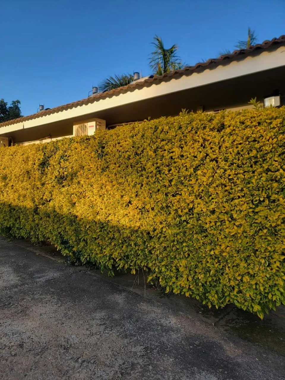 Mt Pleasant Bed and Breakfast Ltd