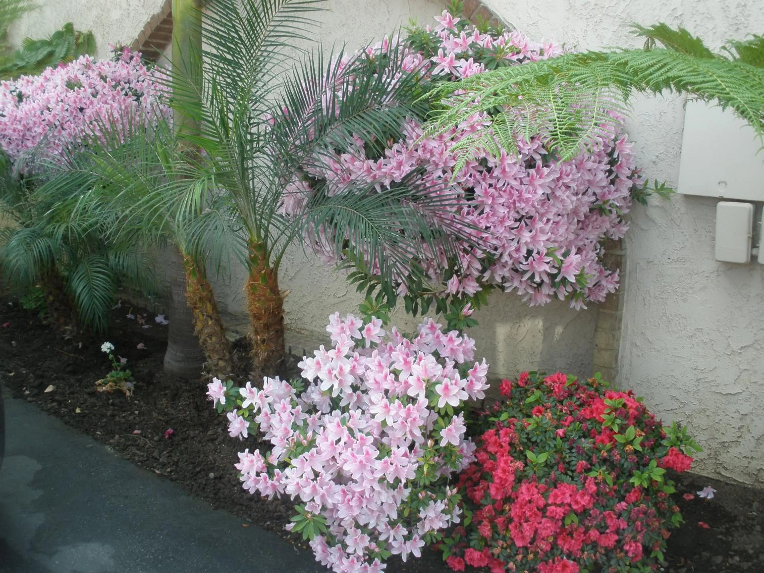 Decorative detail in Garden Inn and Suites Glendora