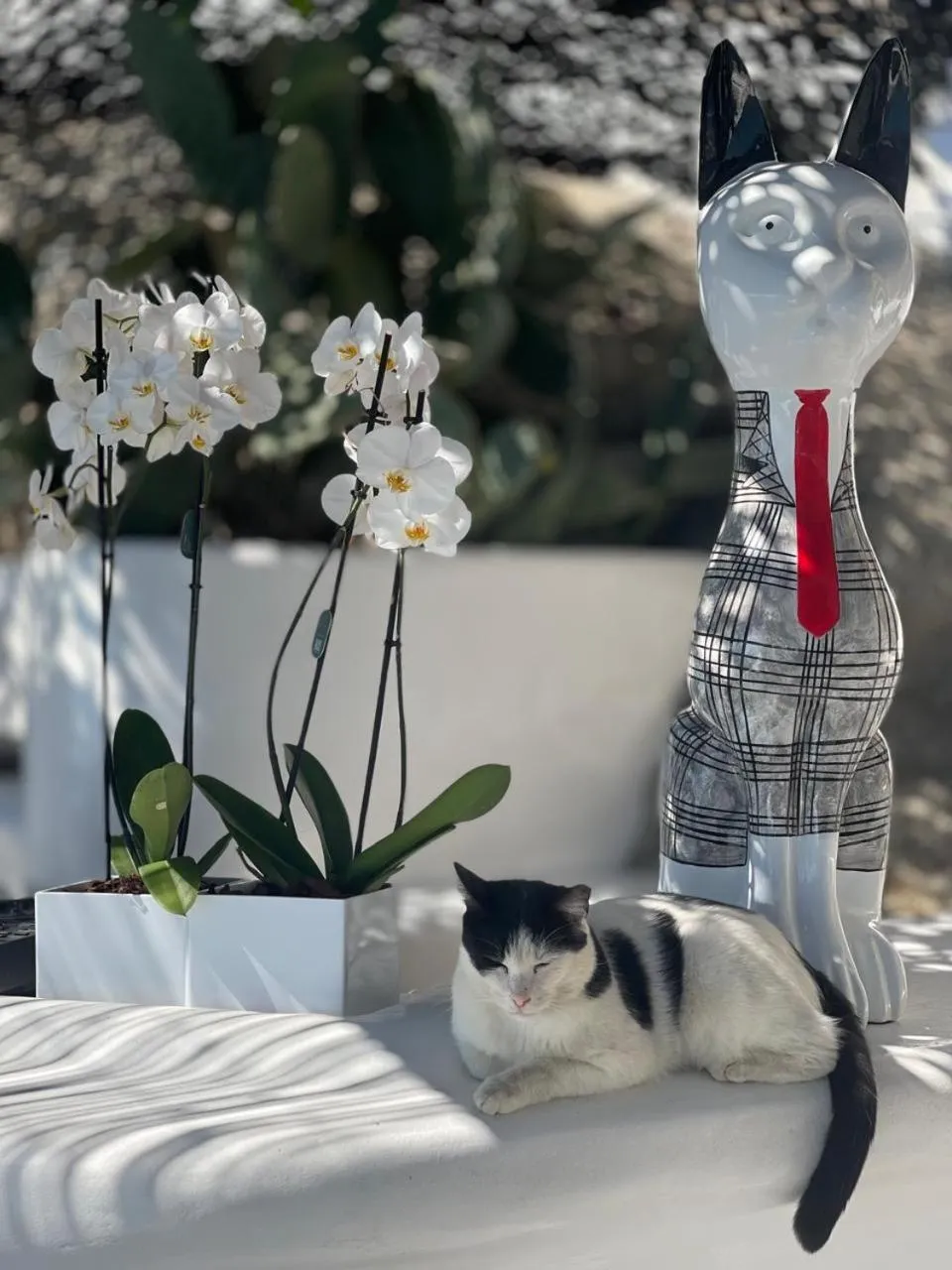 Anastasia Resort by Spilia