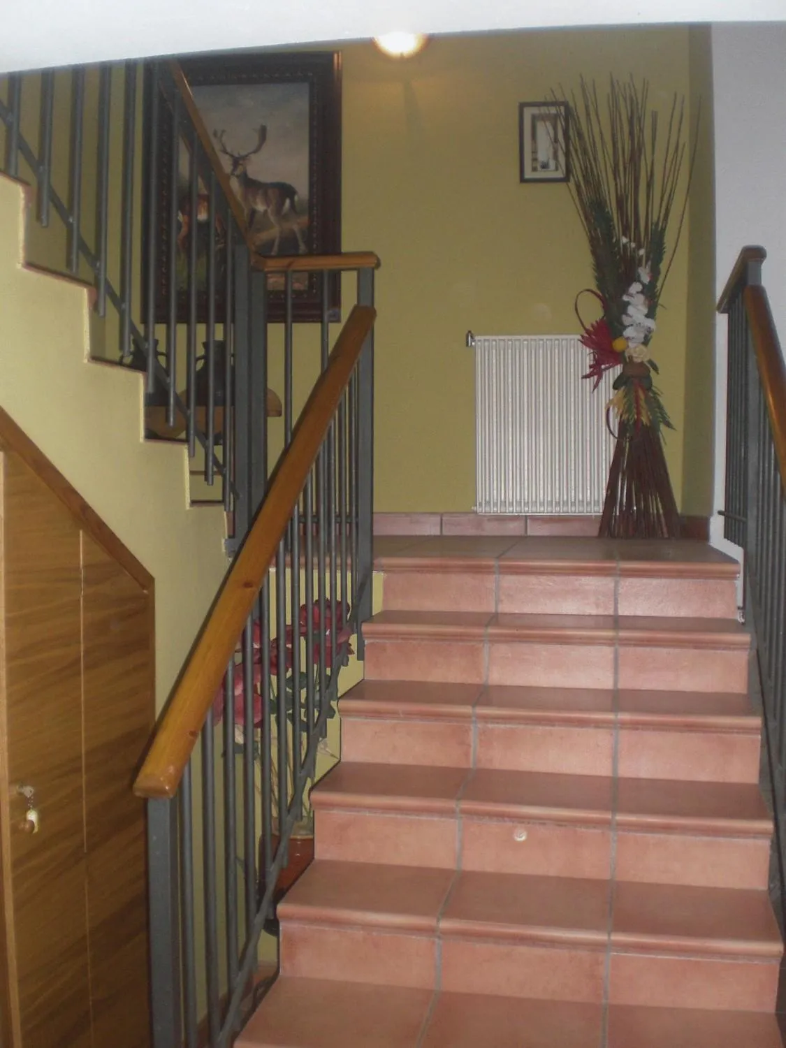 Area and facilities in Roch Hotel