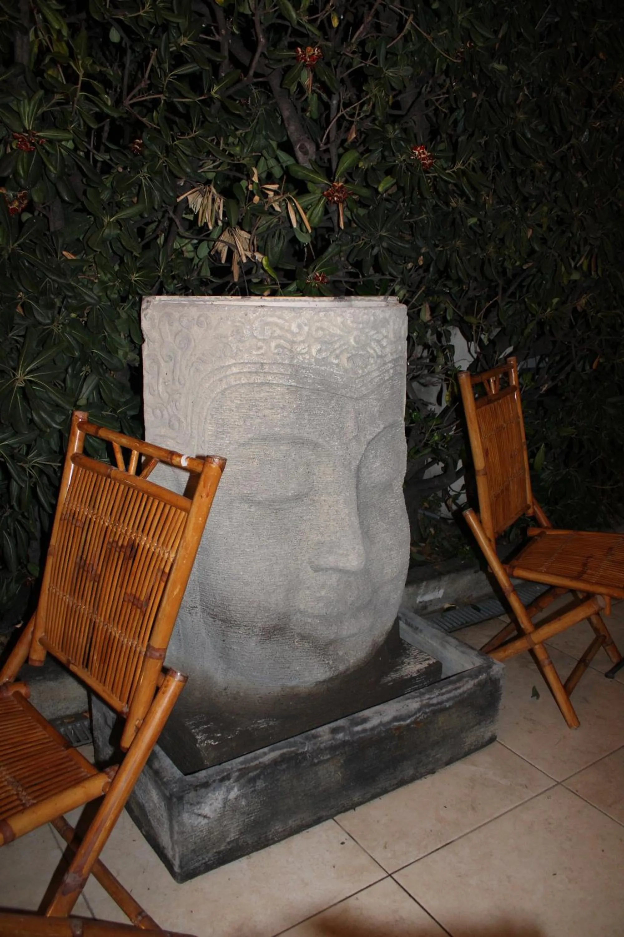 Garden in Hôtel La Villa des Oliviers