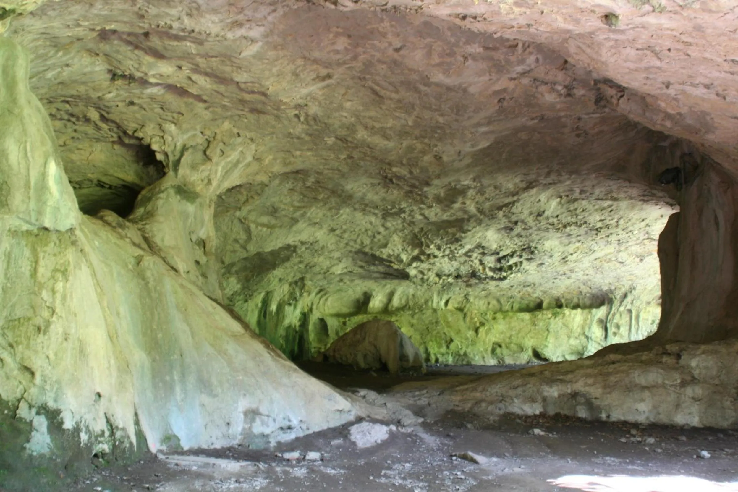 Area and facilities in Hotel Rural Bereau