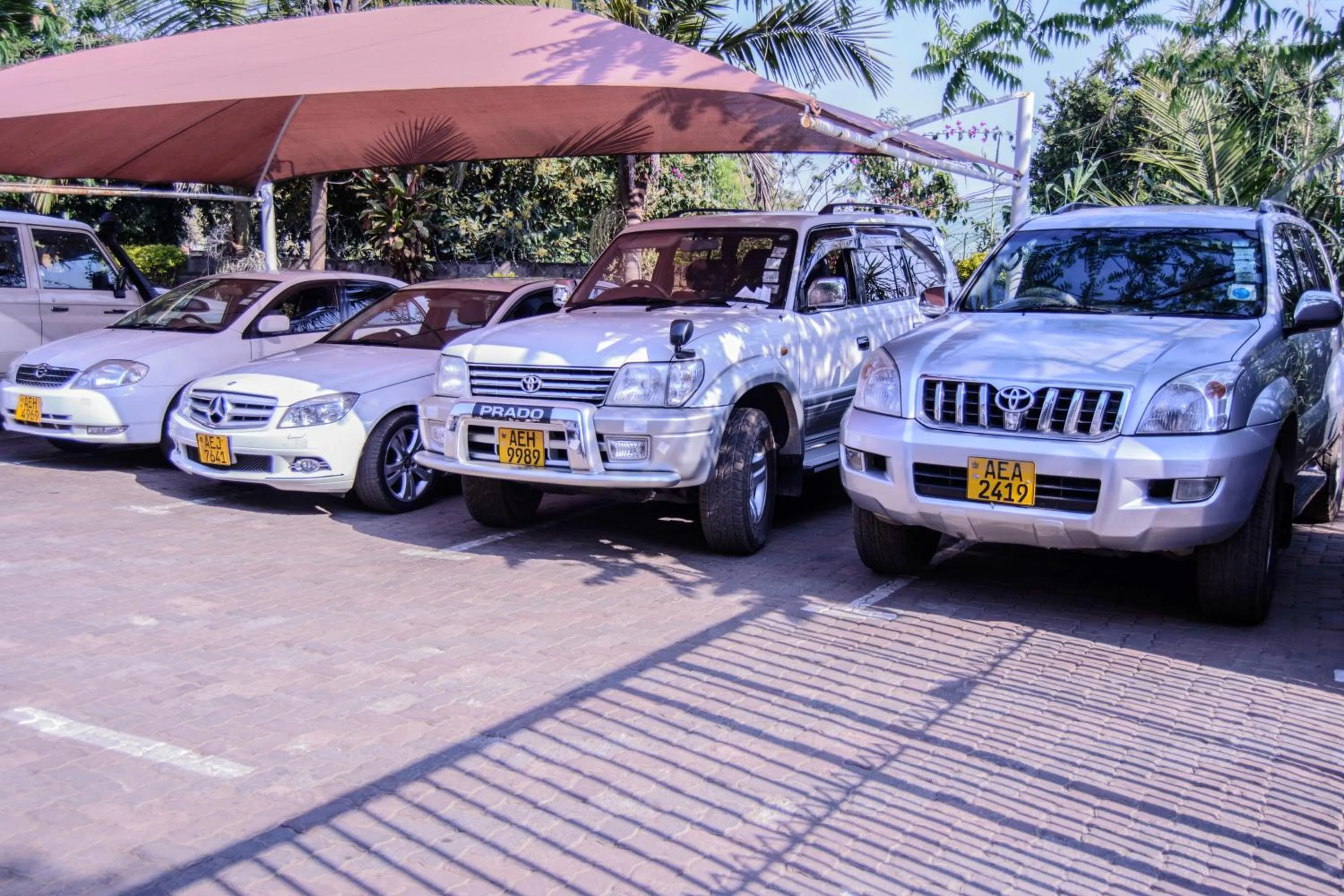 Activities in The Palace Guest House