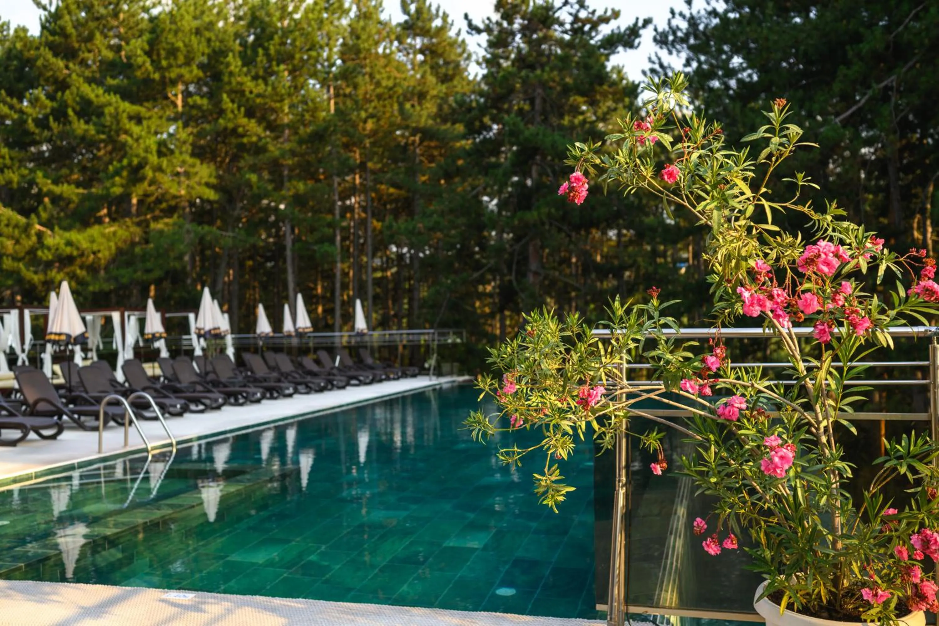 SPA Hotel Infinity Park Velingrad