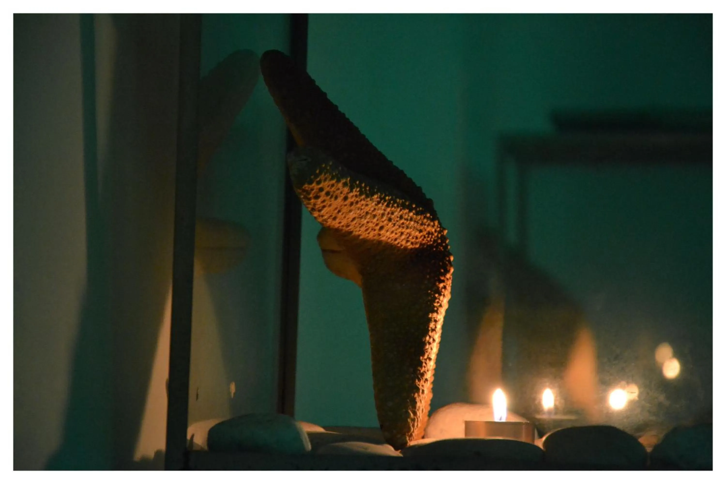 Spa and wellness centre/facilities in SeaPark SPA Resort