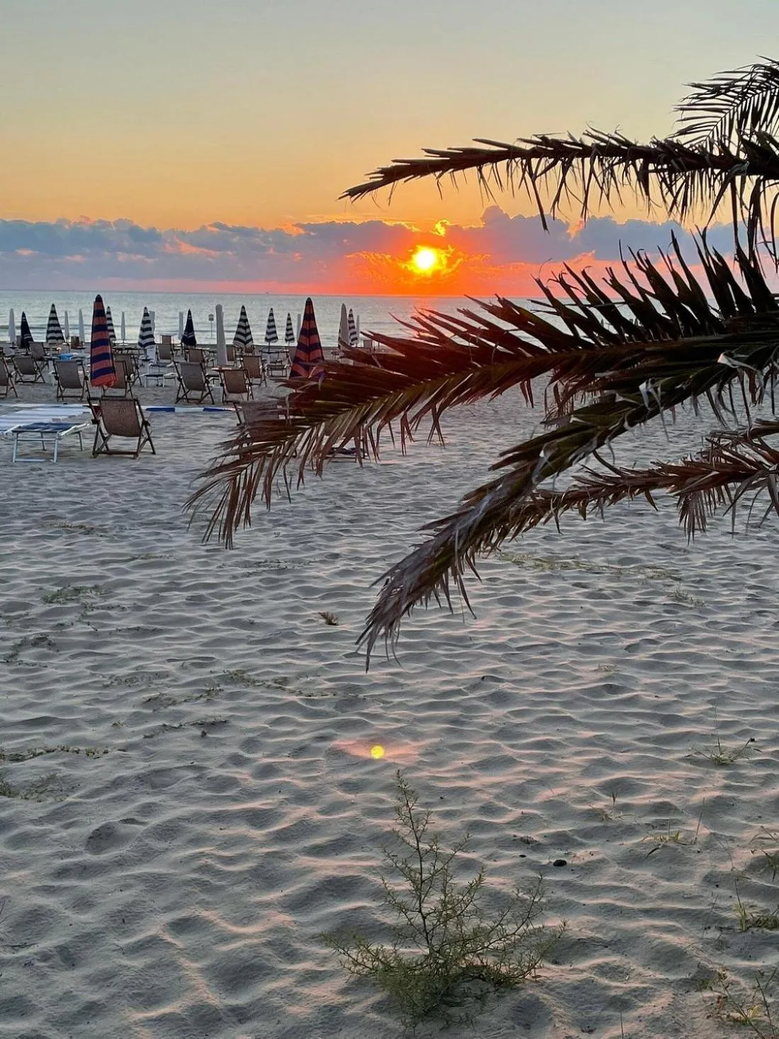 Natural landscape in SeaPark SPA Resort