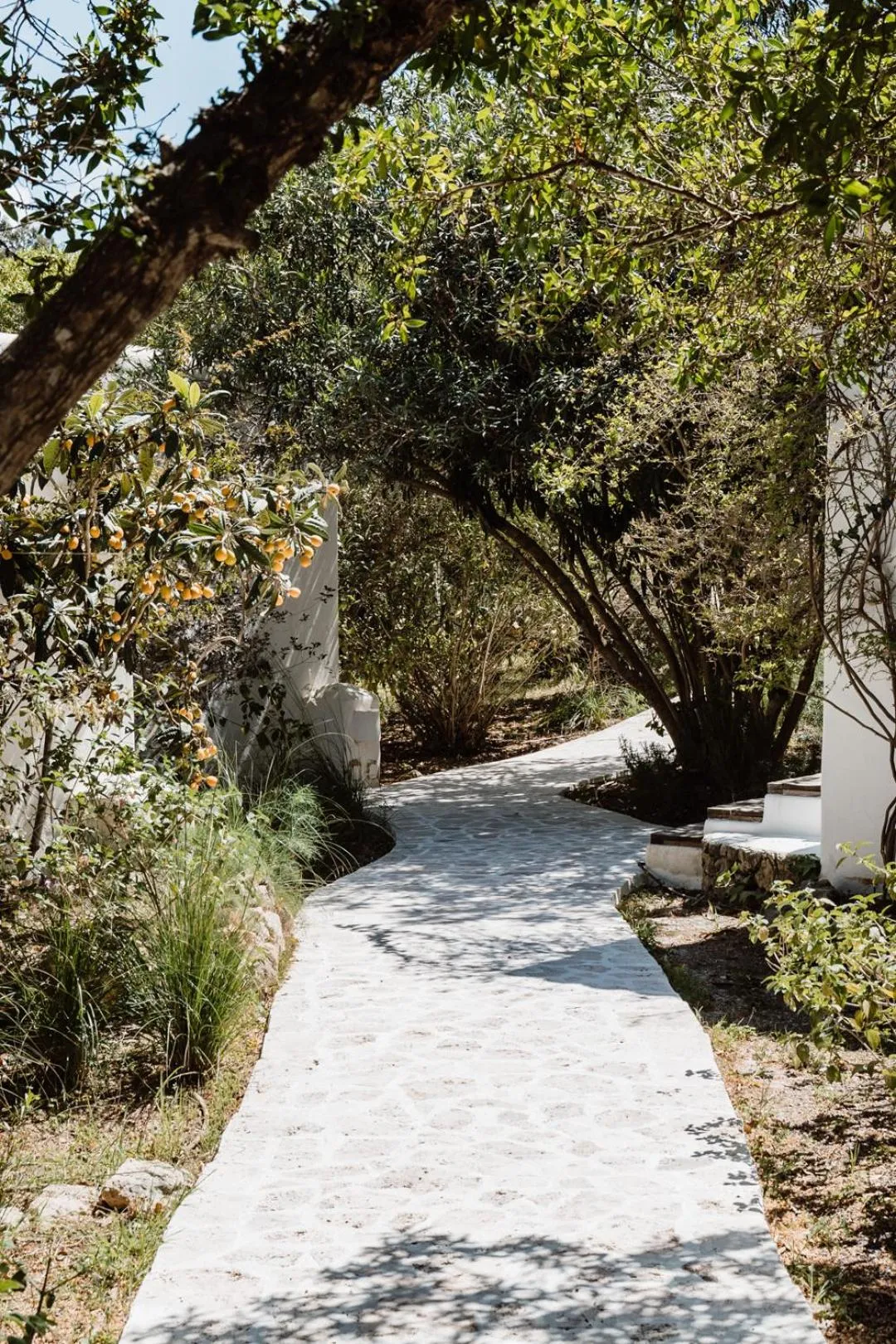 Natural landscape in Can Vistabella Boutique Resort