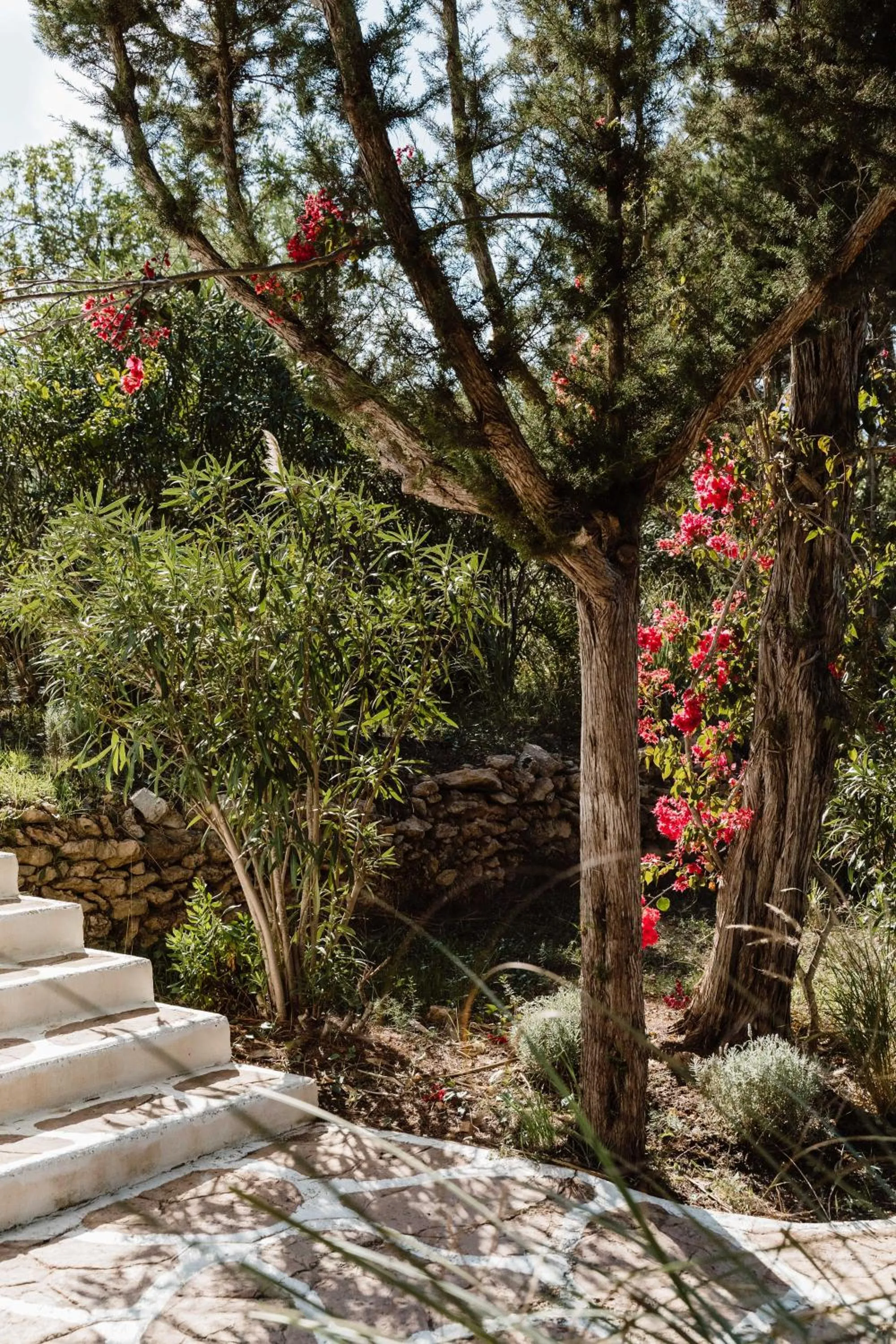 Natural landscape in Can Vistabella Boutique Resort