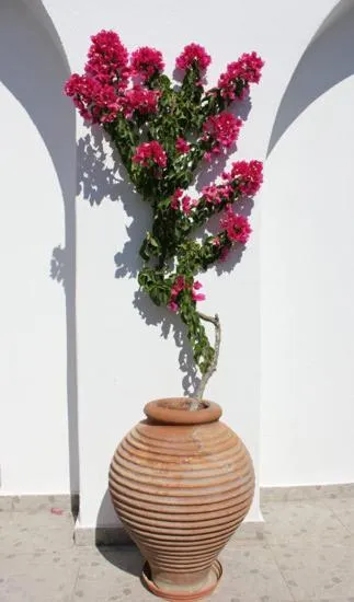 Decorative detail in Villa Happening