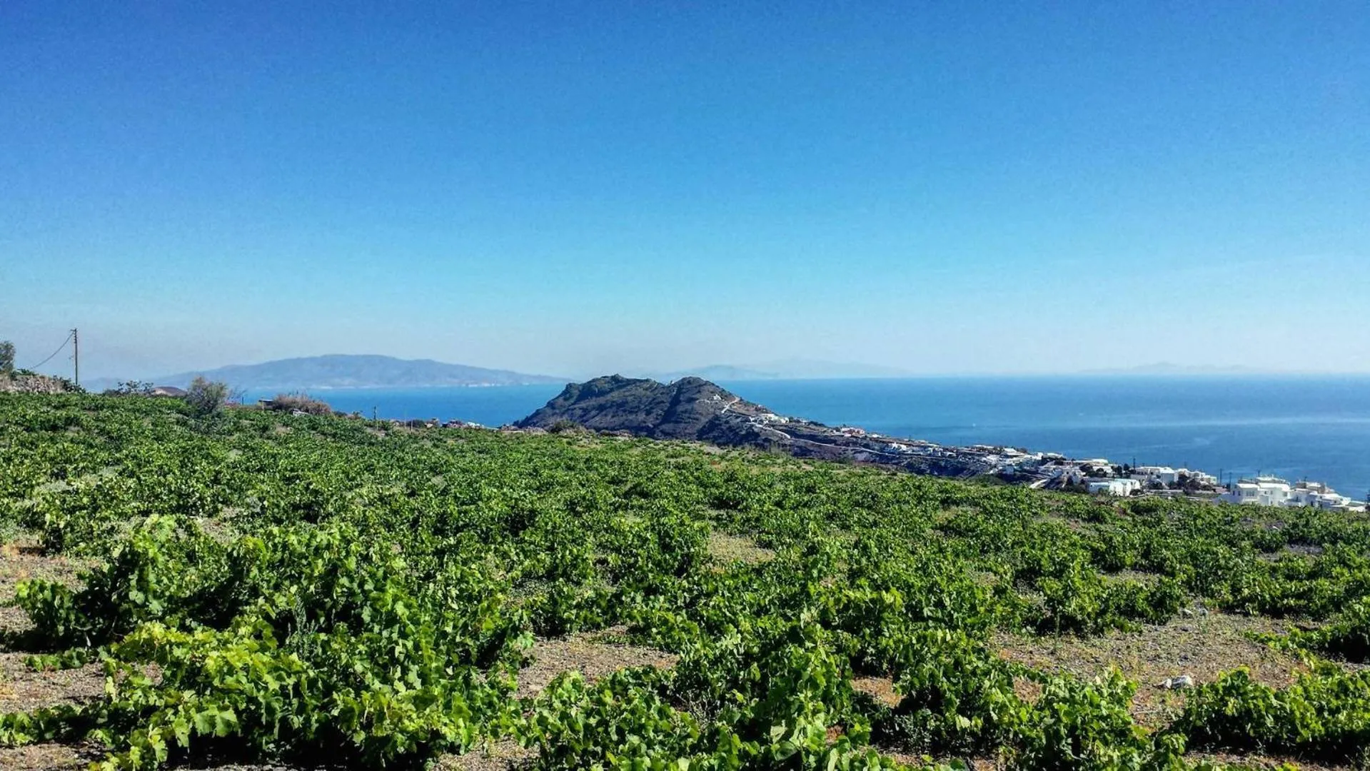 Day in Villa Happening