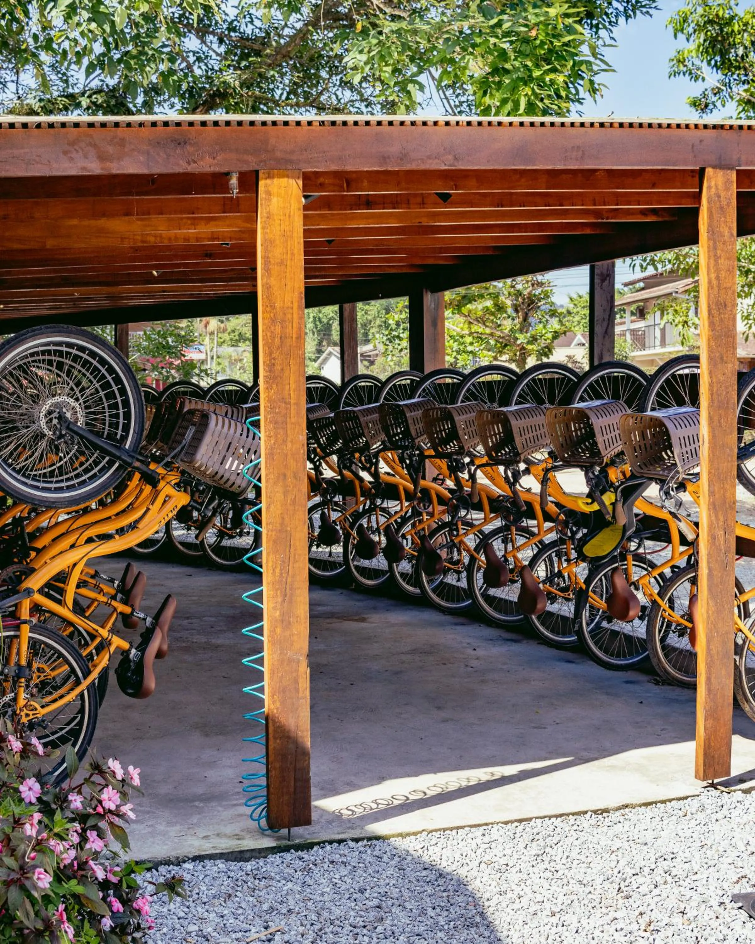 Cycling in Pousada Ilha Vitoria