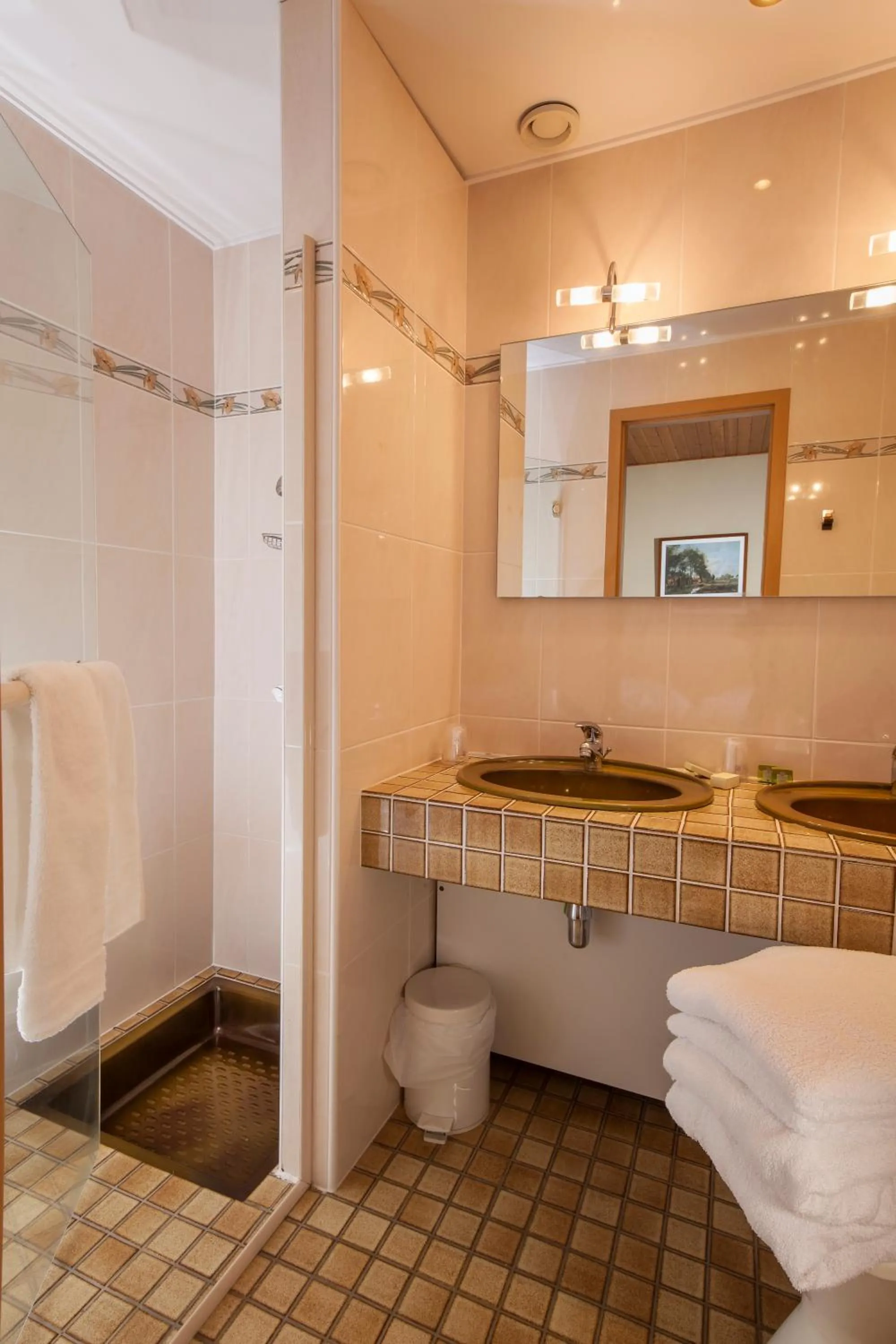 Bathroom in Logis Hostellerie Motel Au Bois Le Sire