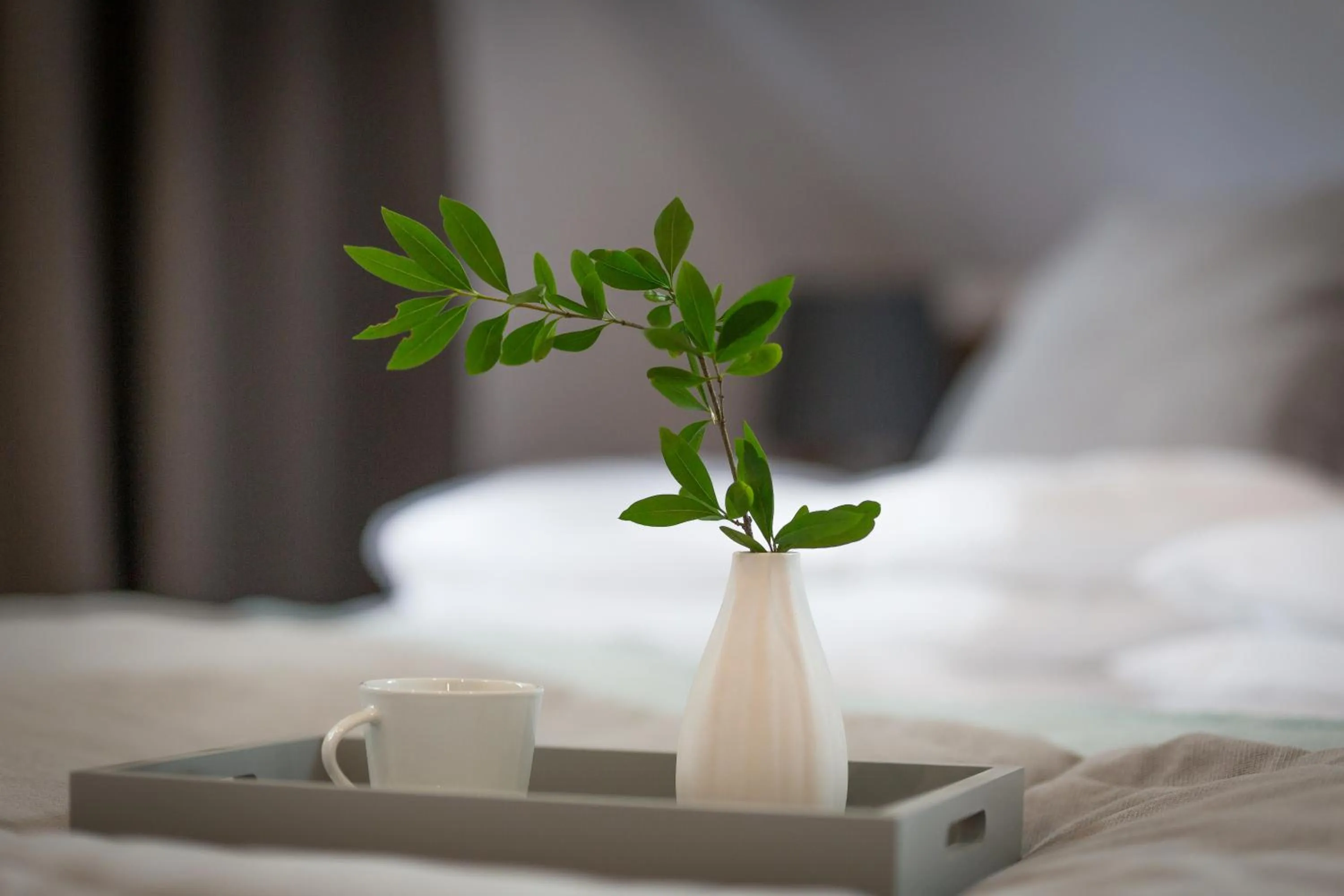 Decorative detail, Bed in Stacja Zakopane - Apartamenty w centrum