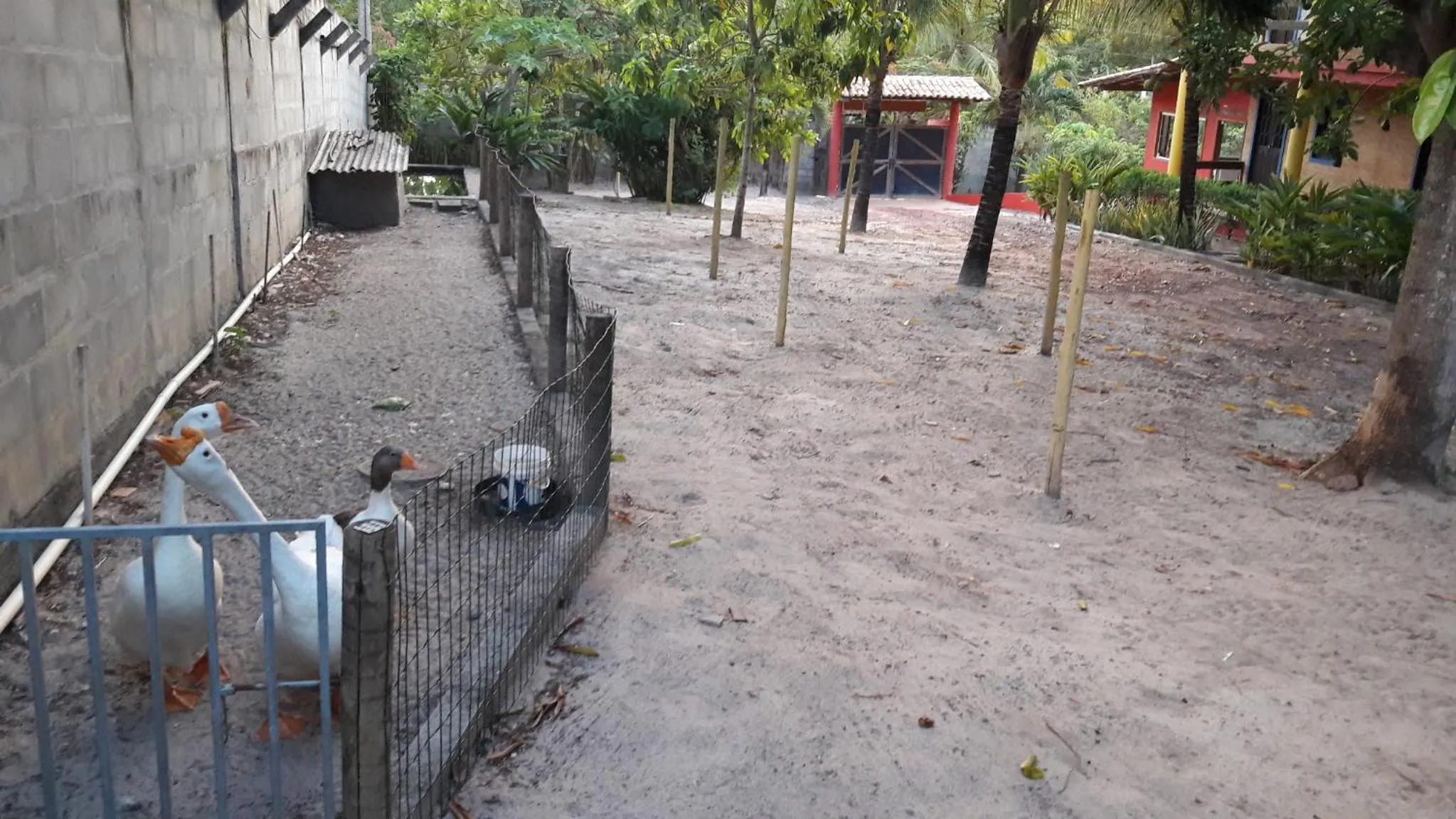 Pets in Pousada Rio e Mar