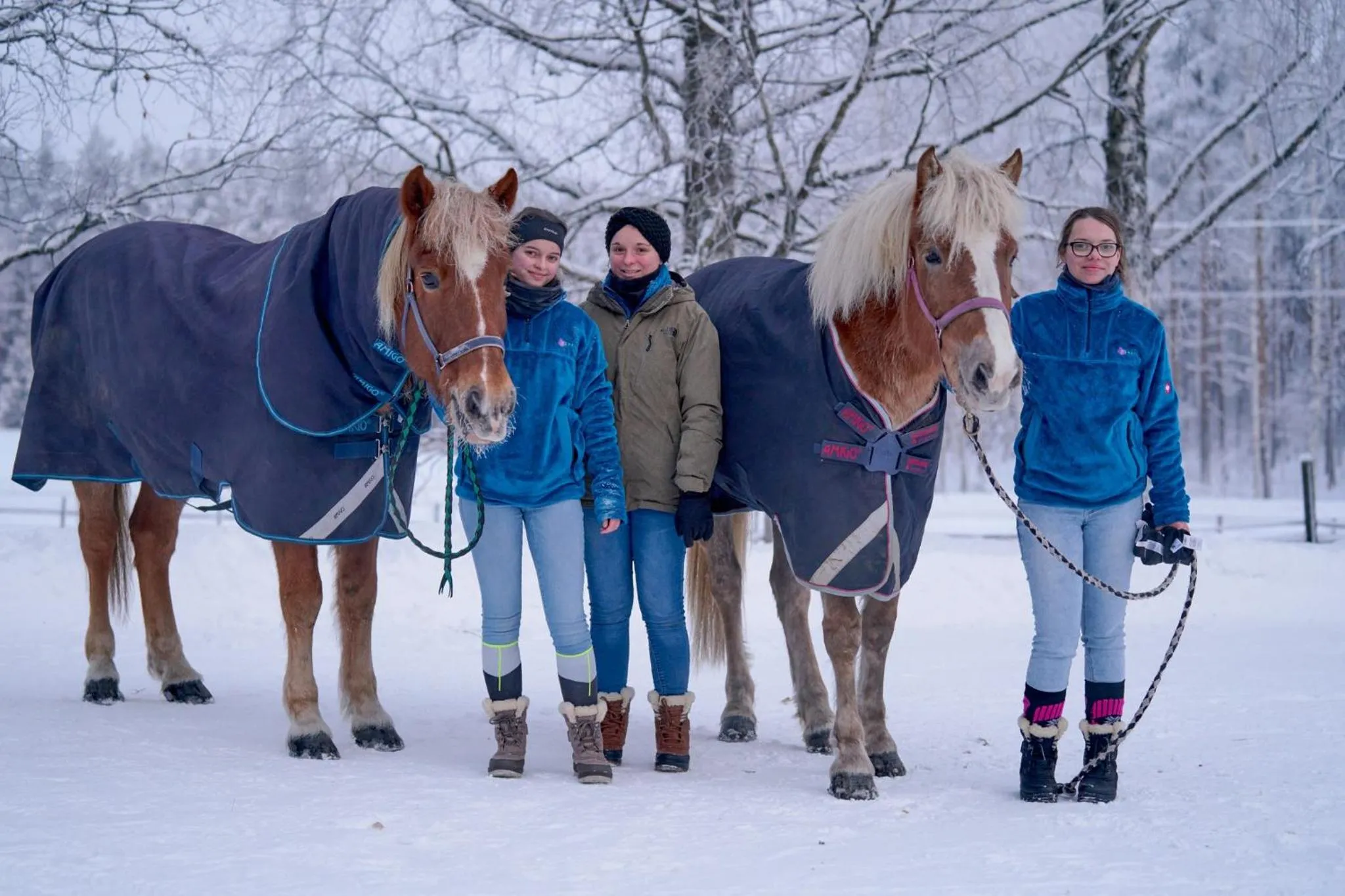 Winter in Resort Naaranlahti